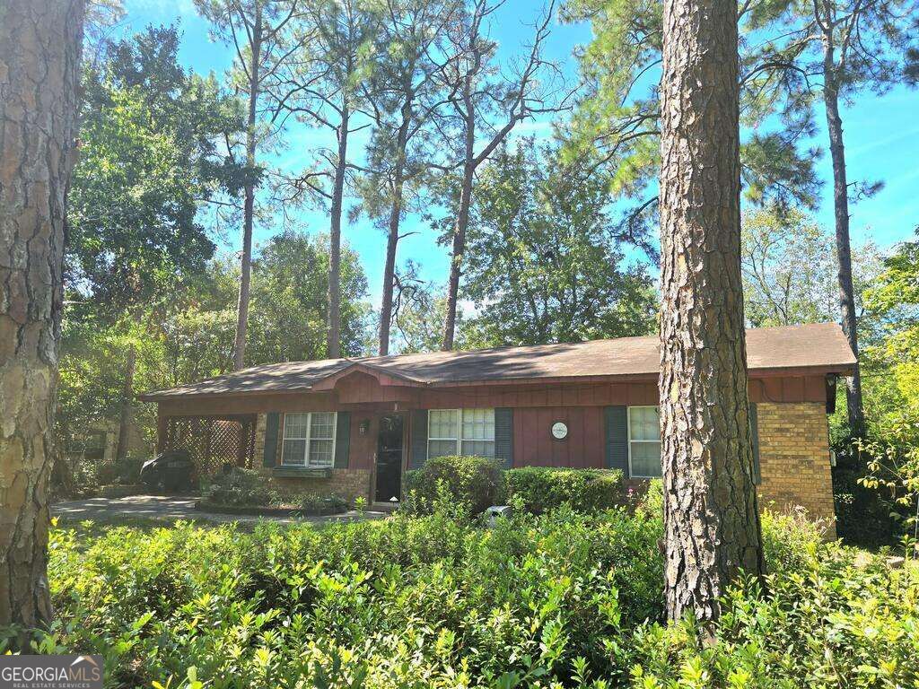 116 Snowden Loop Property Photo 2