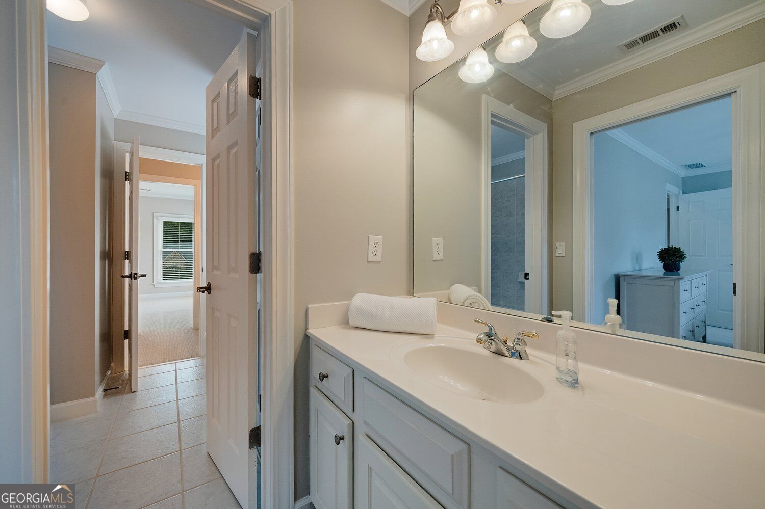 3090 Creek Falls Way Property Photo 37