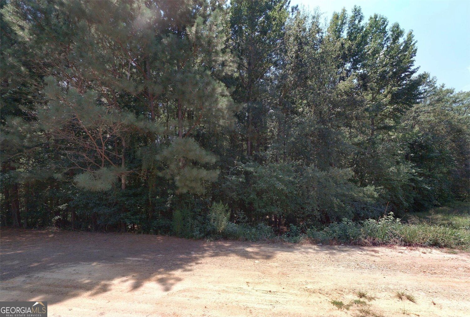 0 Cascade Palmetto Highway Property Photo 1