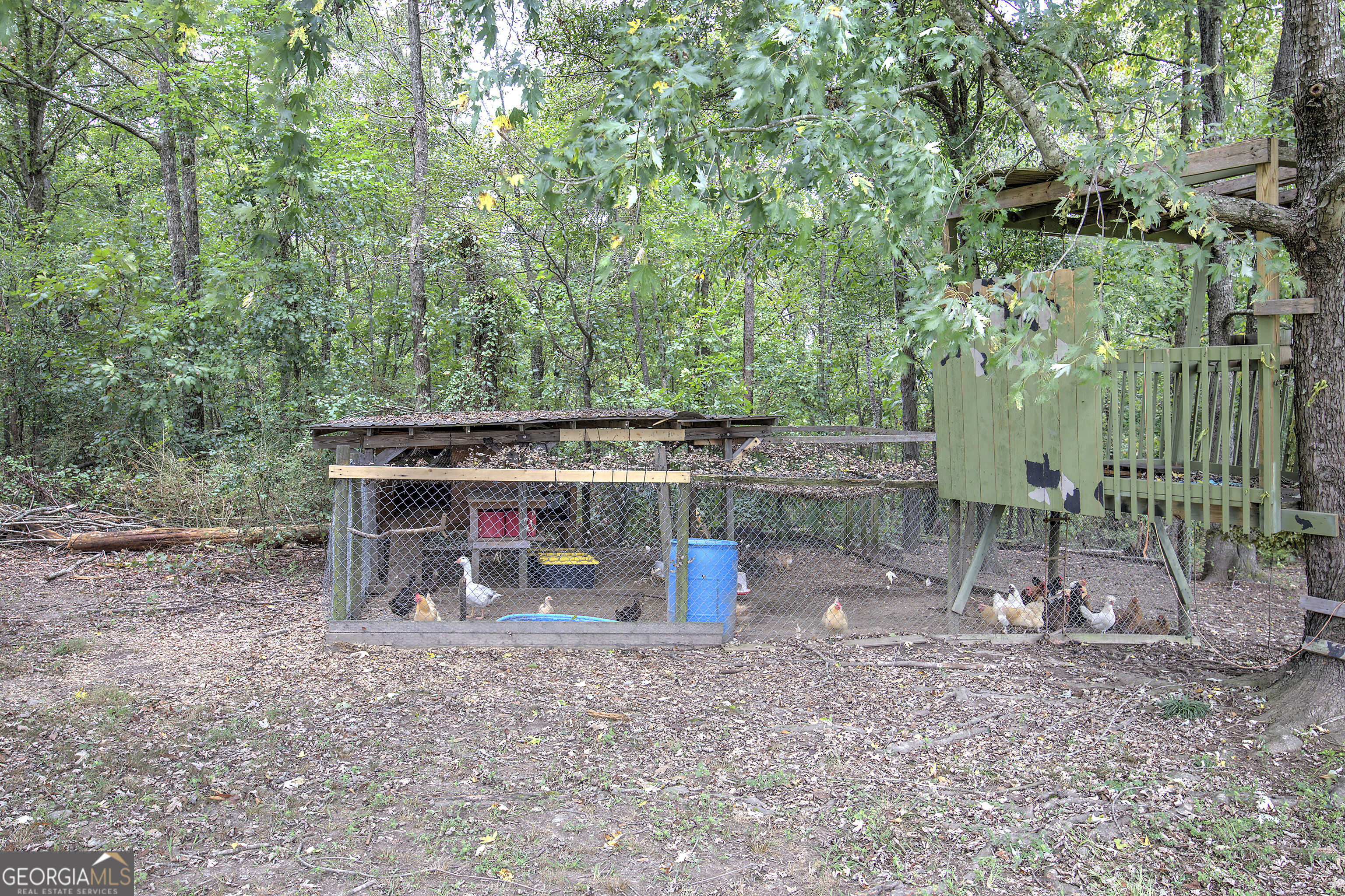 1328 Abrams Road Se Property Photo 29