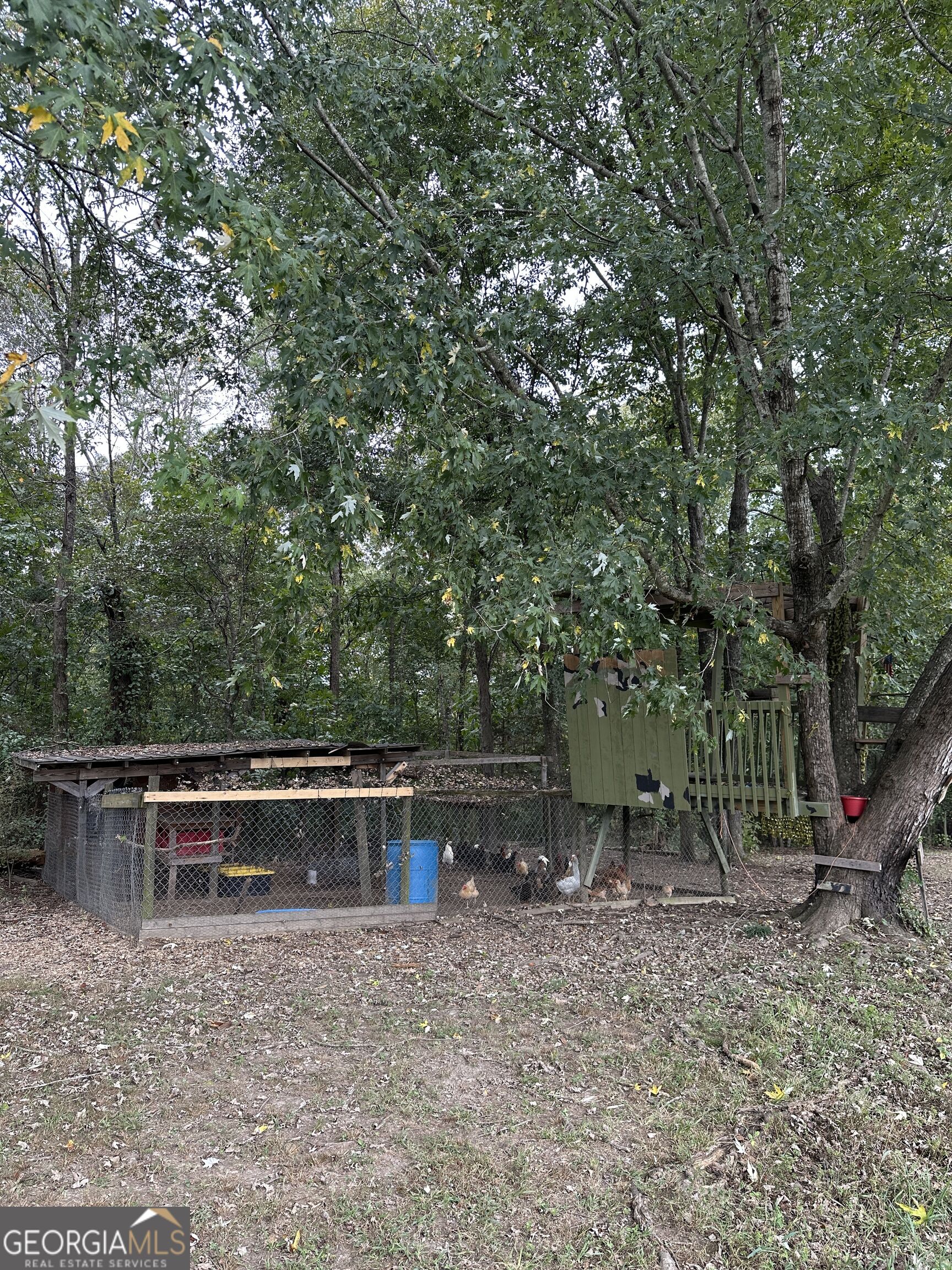 1328 Abrams Road Se Property Photo 34