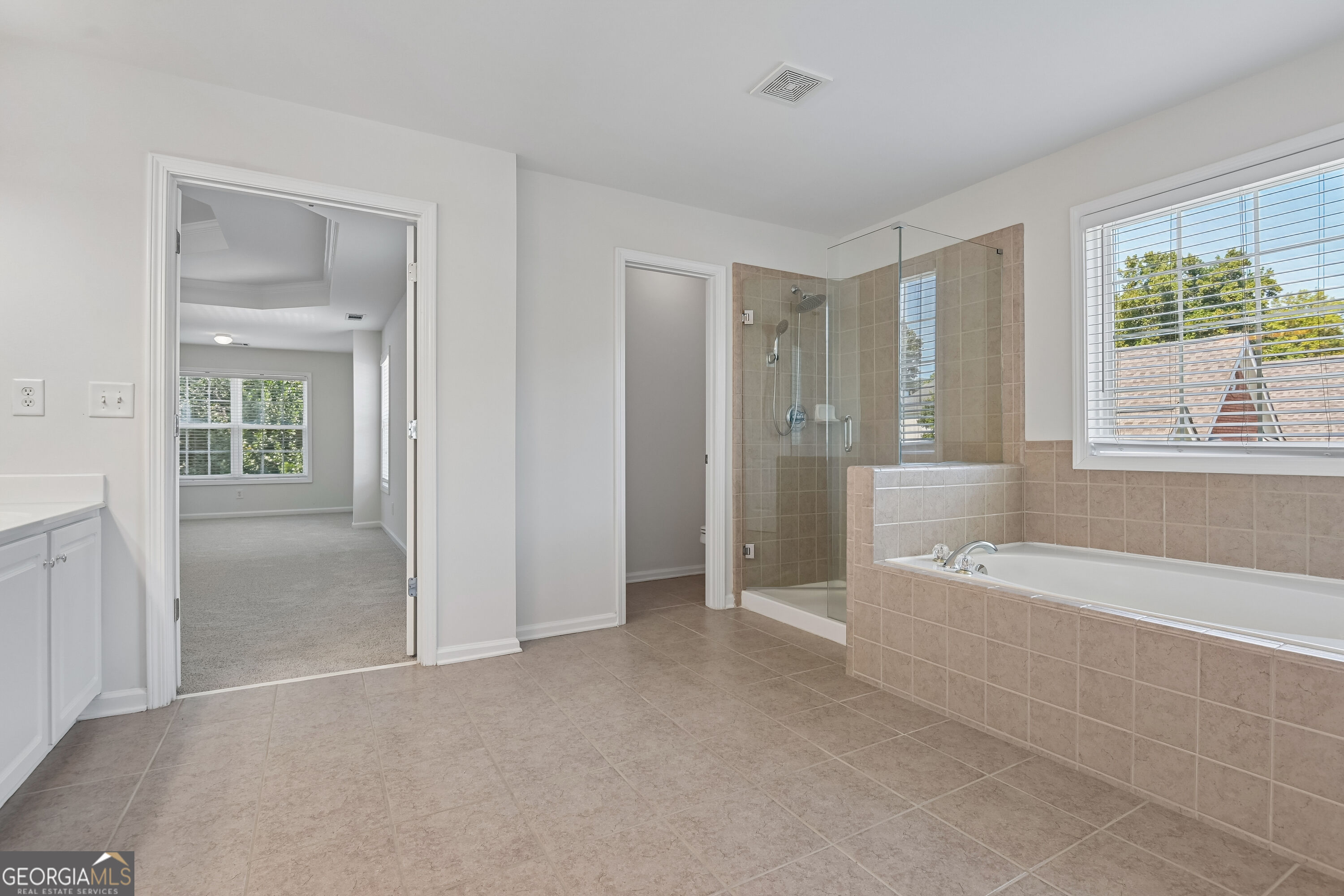 4564 Austin Hills Drive Property Photo 19
