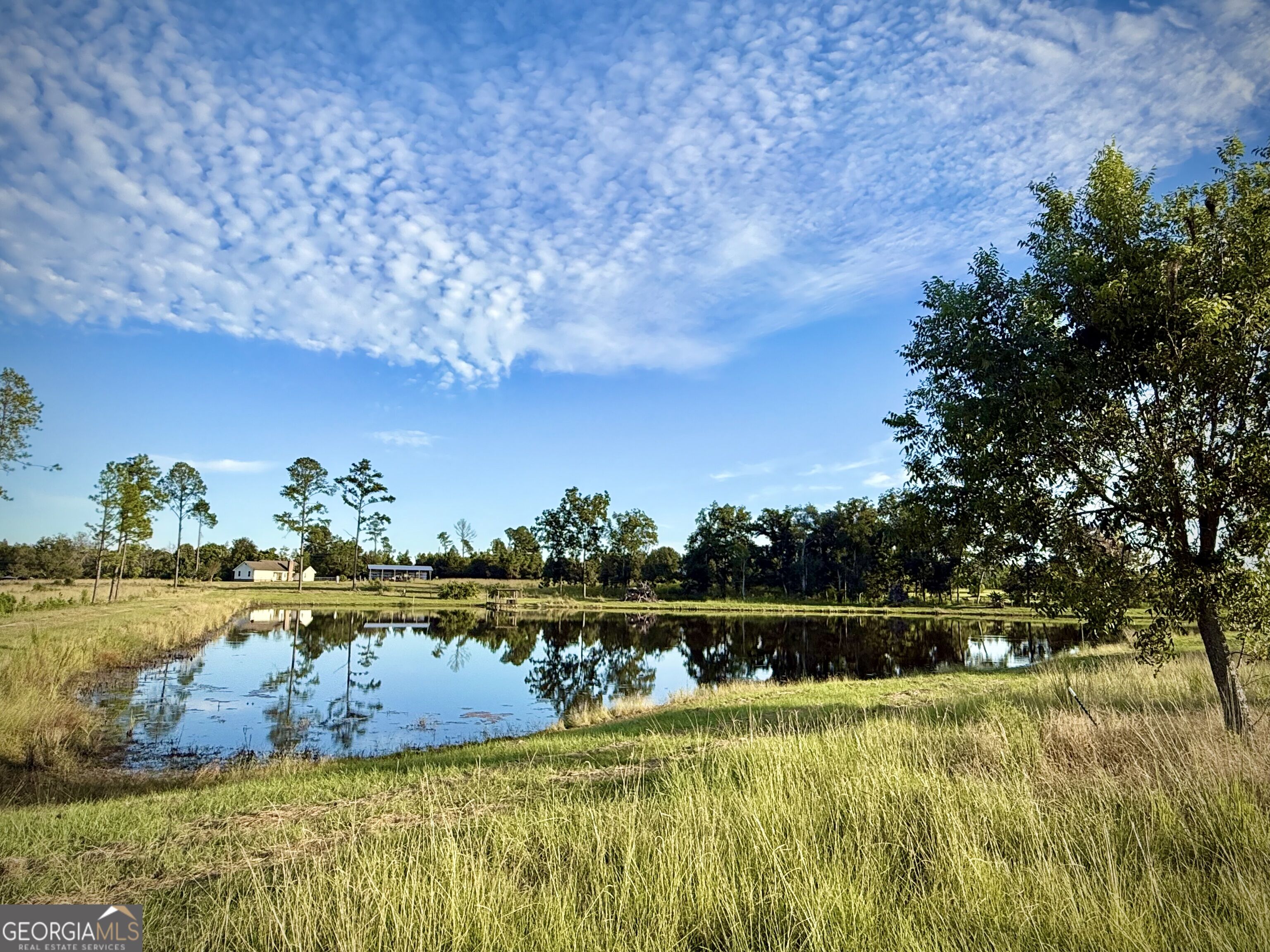 1678 Broxton Highway Property Photo 88