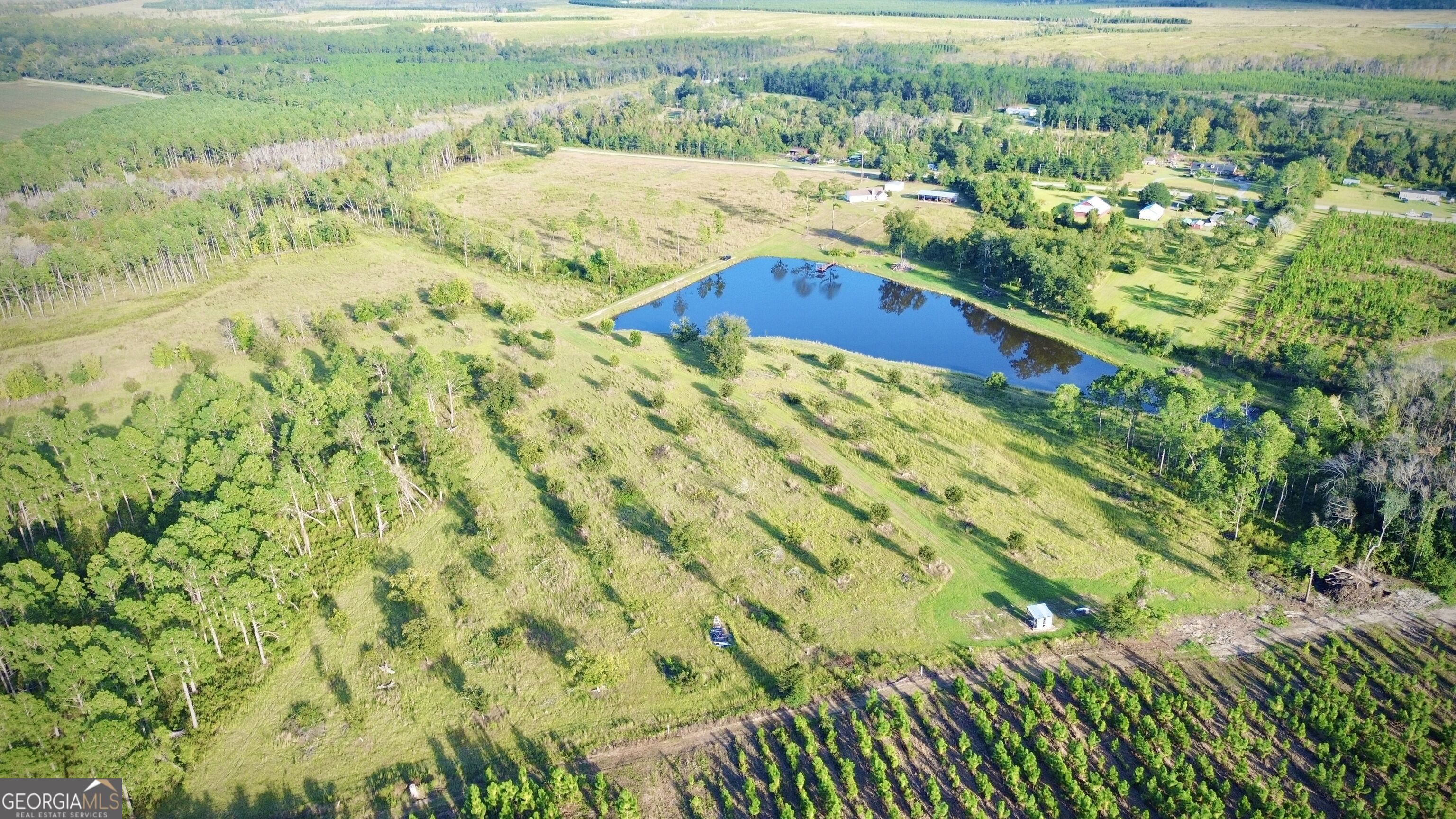 1678 Broxton Highway Property Photo 94