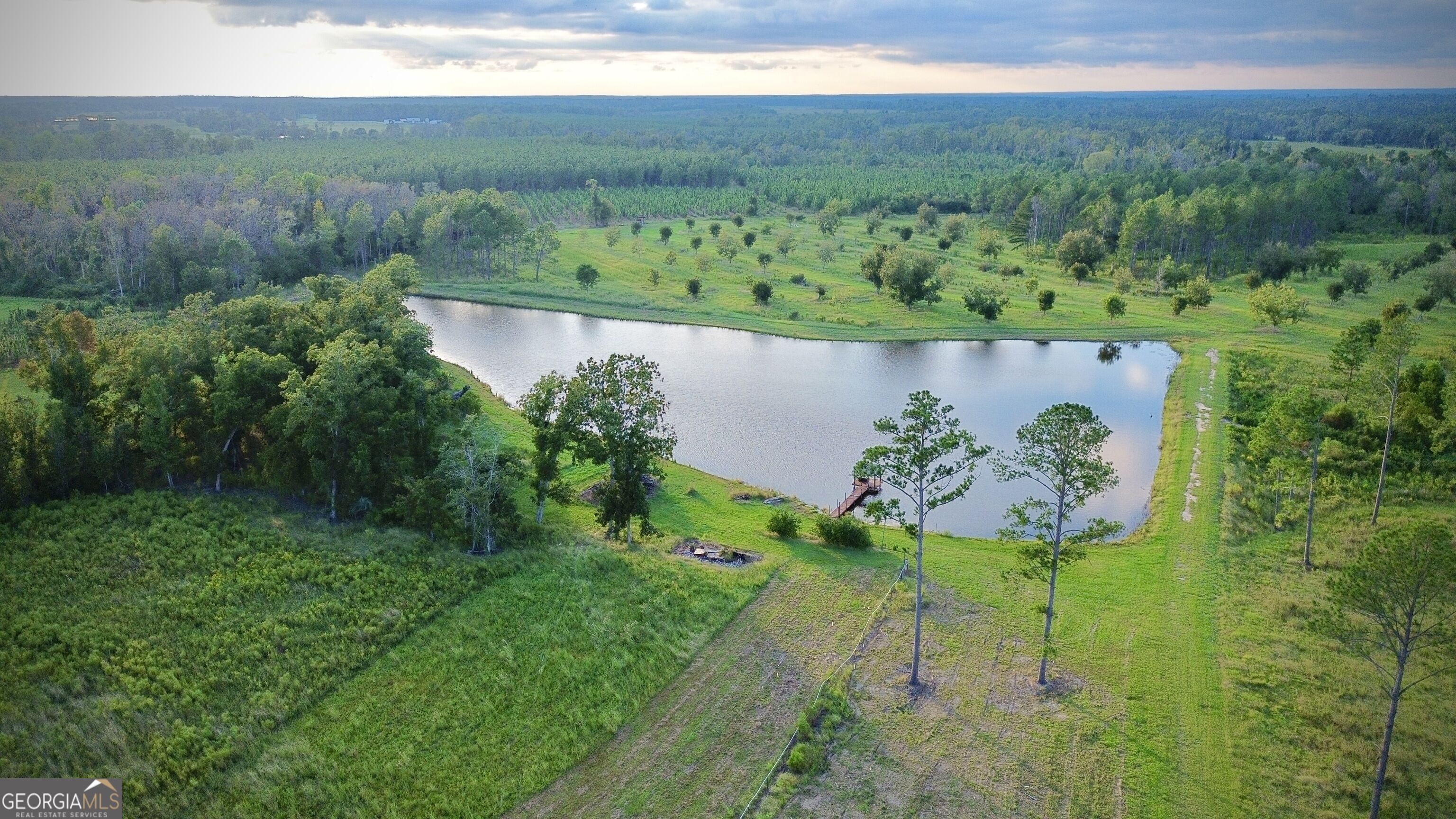 1678 Broxton Highway Property Photo 98