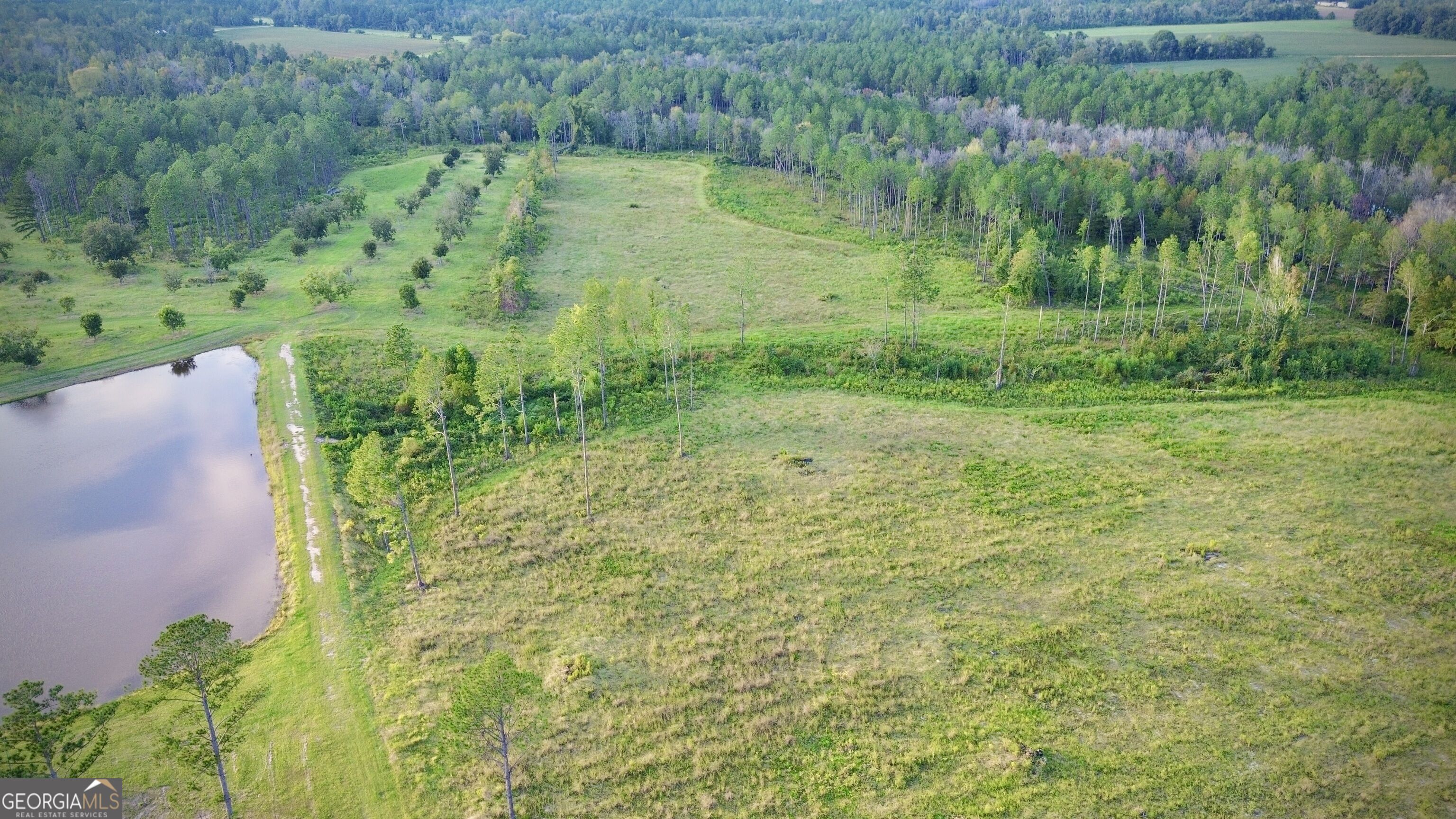 1678 Broxton Highway Property Photo 101