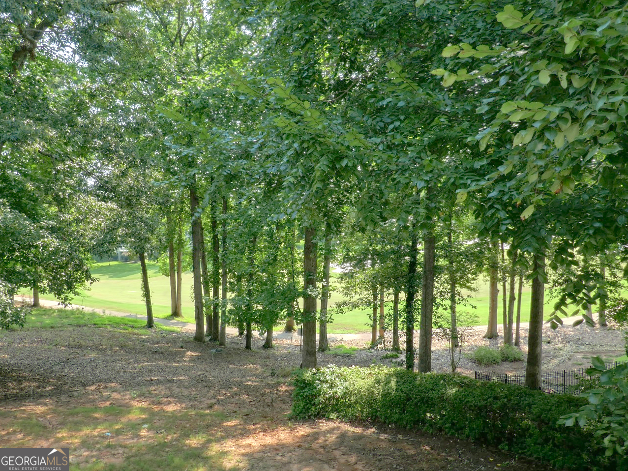 124 Somerset Hills Property Photo 29