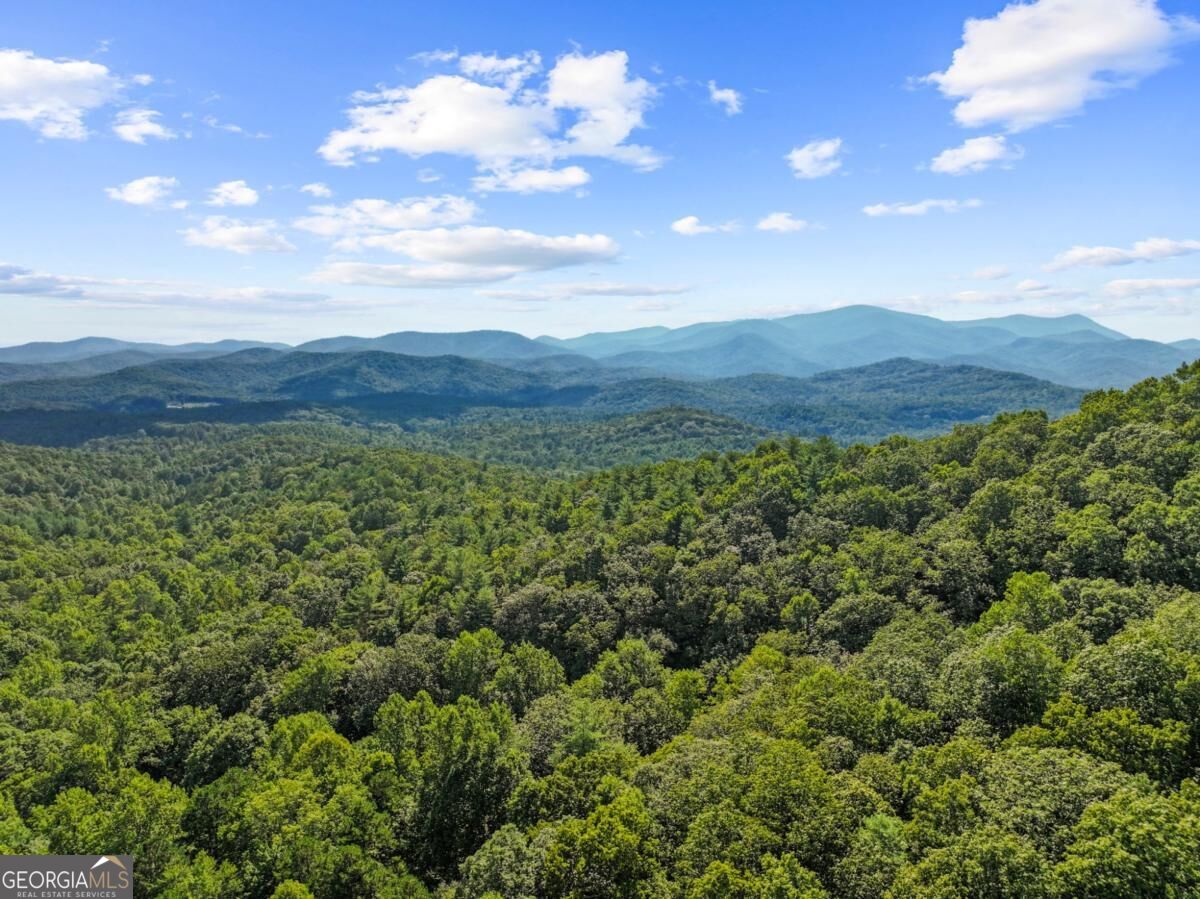 5.5 ACRE Forest Service Rd 35 Property Photo 1