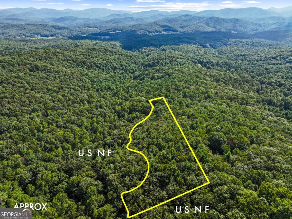 5.5 Acre Forest Service Rd 35 Property Photo 2