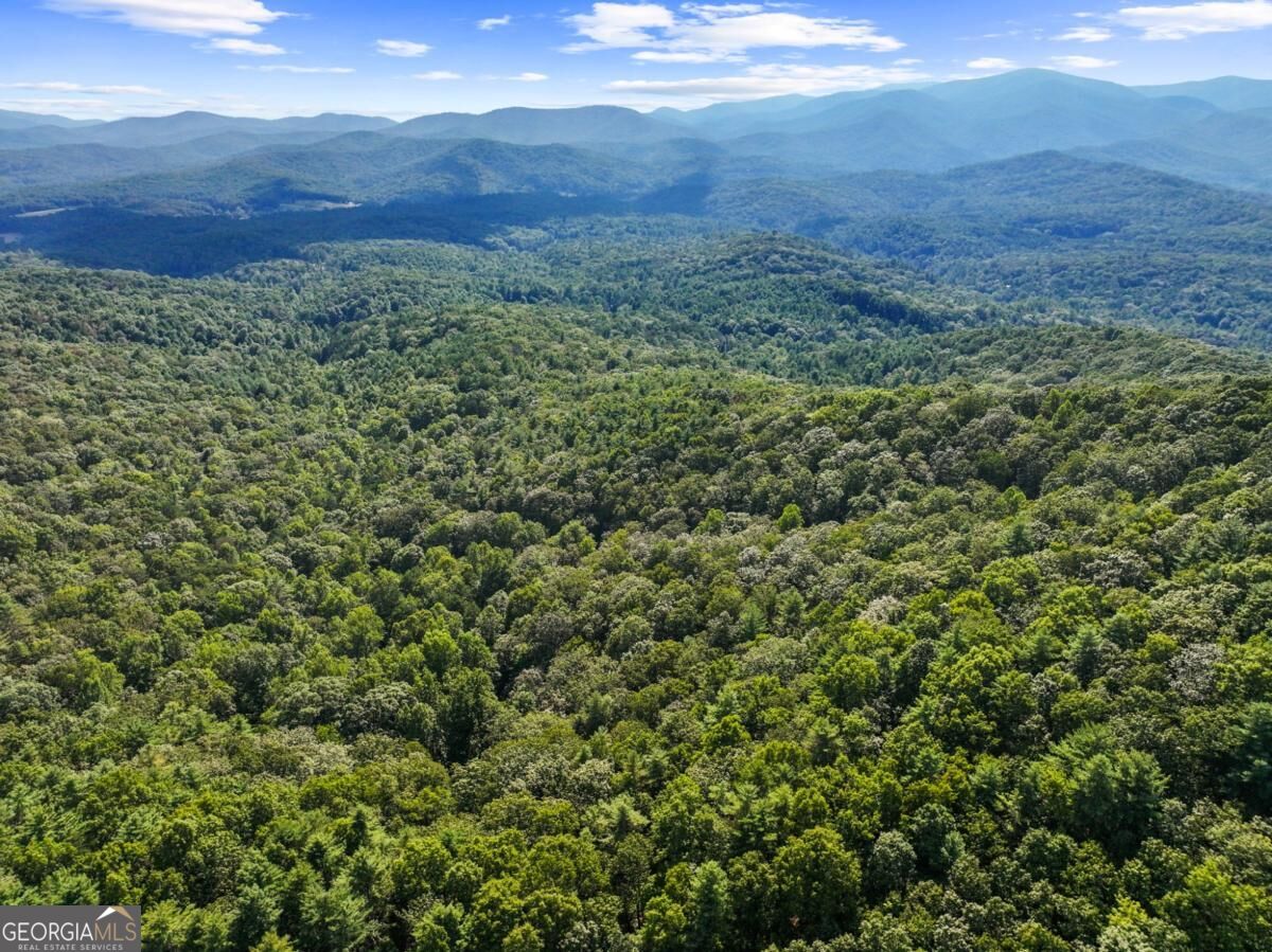 5.5 Acre Forest Service Rd 35 Property Photo 8