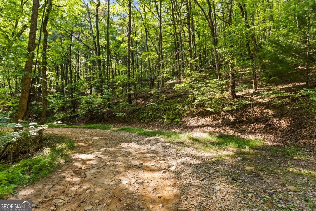 5.5 Acre Forest Service Rd 35 Property Photo 18