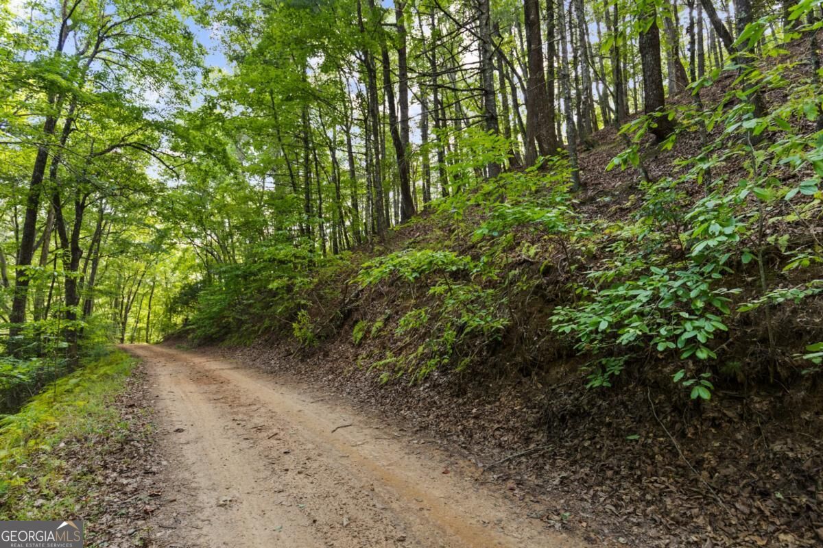 5.5 Acre Forest Service Rd 35 Property Photo 21