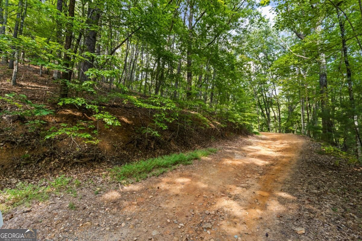 5.5 Acre Forest Service Rd 35 Property Photo 22
