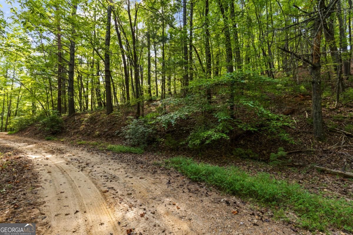 5.5 Acre Forest Service Rd 35 Property Photo 23