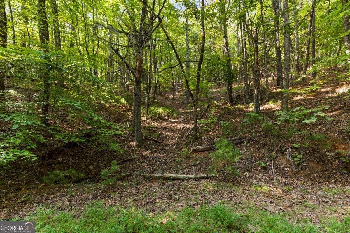 5.5 Acre Forest Service Rd 35 Property Photo 24