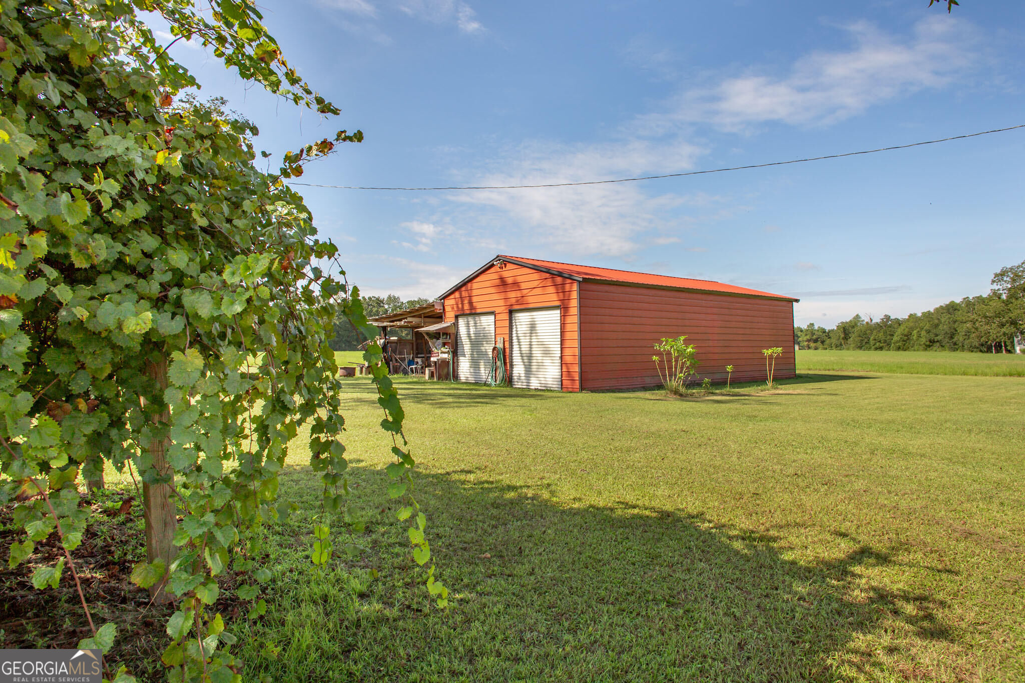8184 Clark Road Property Photo 14