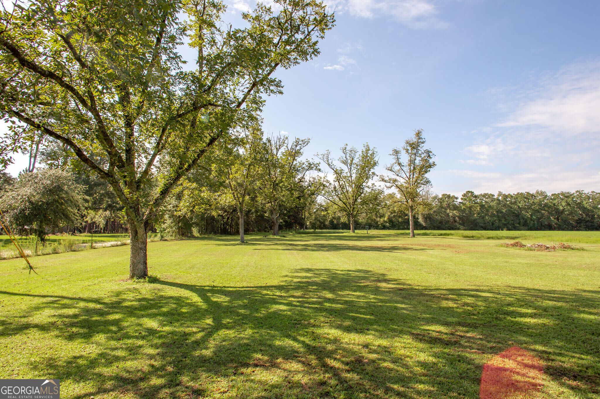 8184 Clark Road Property Photo 16