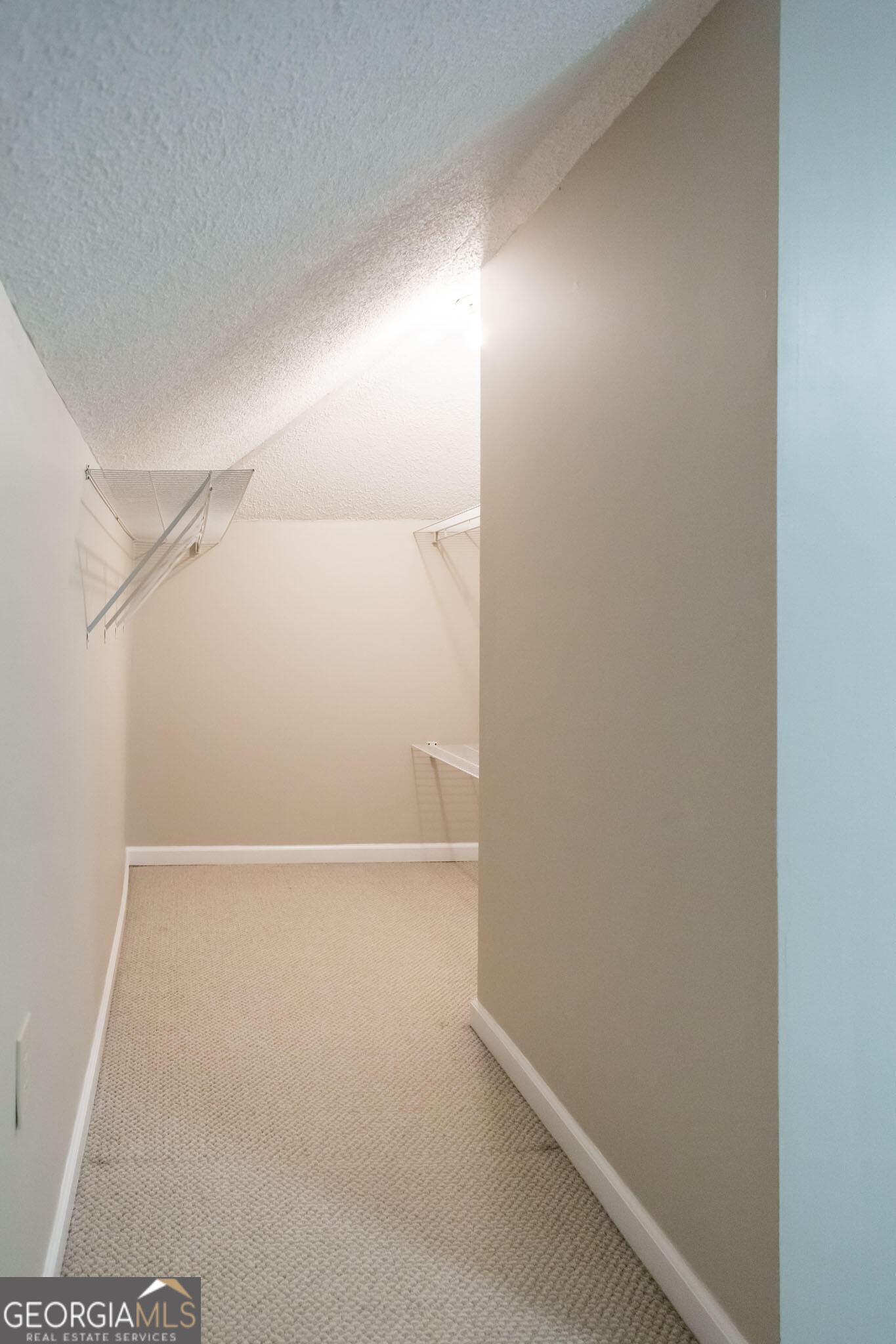 8184 Clark Road Property Photo 60