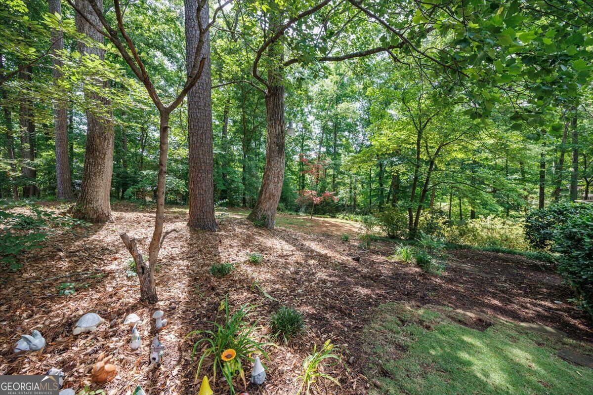 1301 Craddock Way Property Photo 62