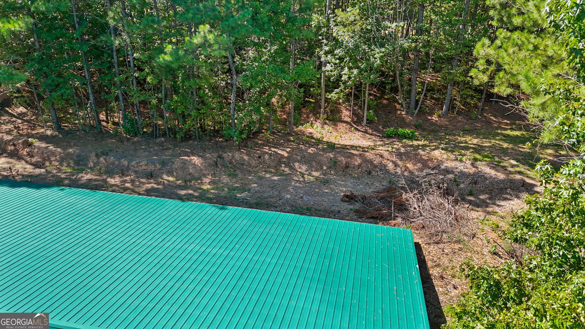 5250 Punkintown Road Property Photo 44