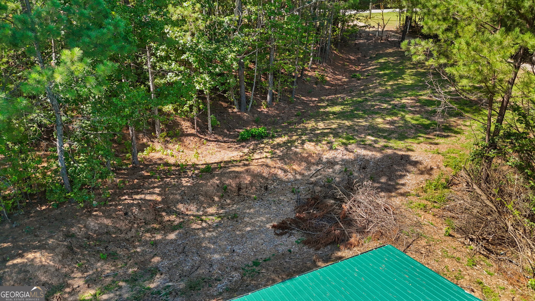 5250 Punkintown Road Property Photo 45