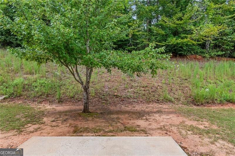 891 Walnut Woods Drive Property Photo 43