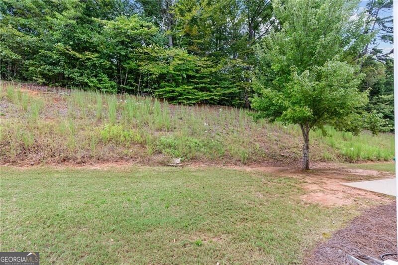 891 Walnut Woods Drive Property Photo 44
