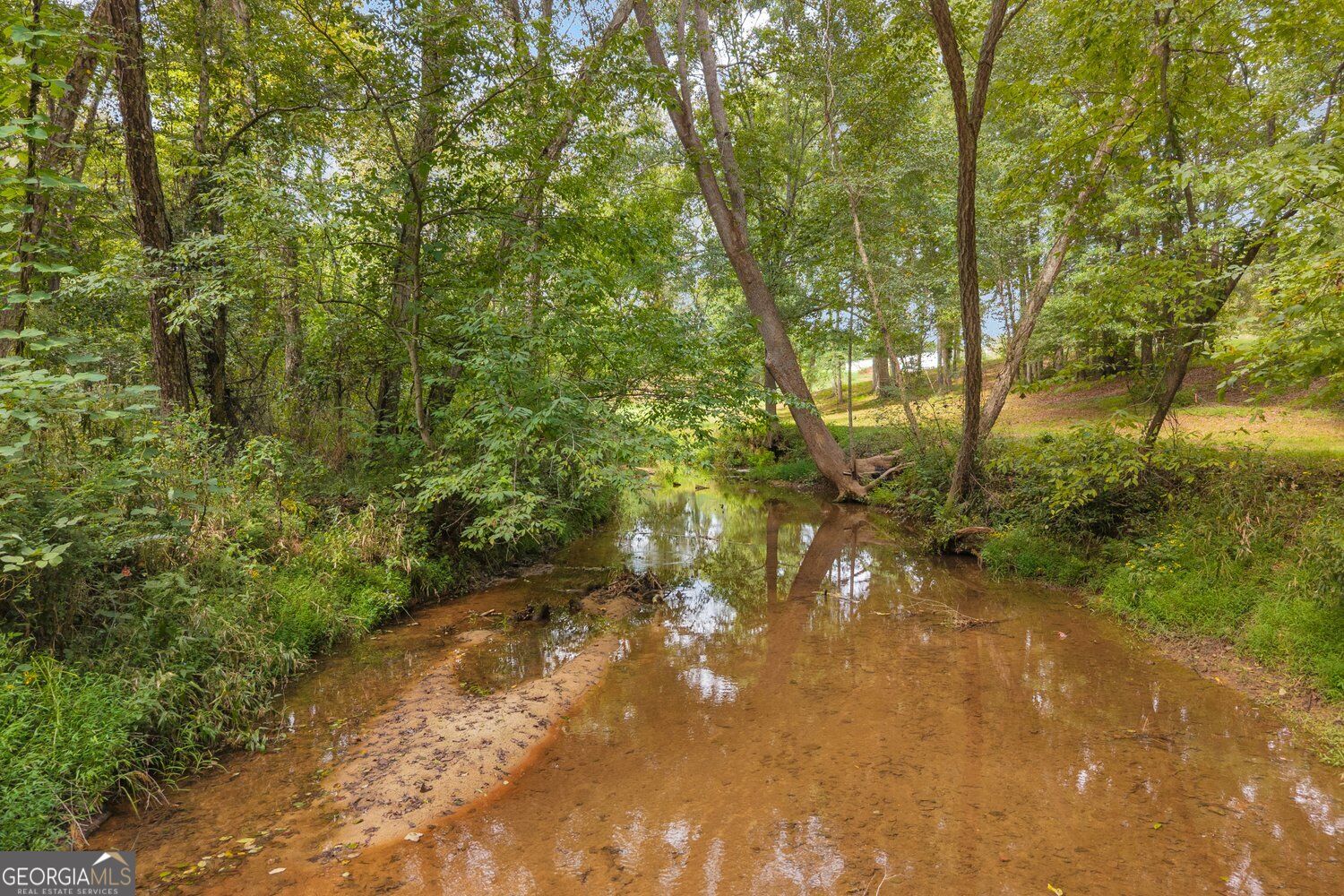 2104 Hwy 123 Property Photo 19