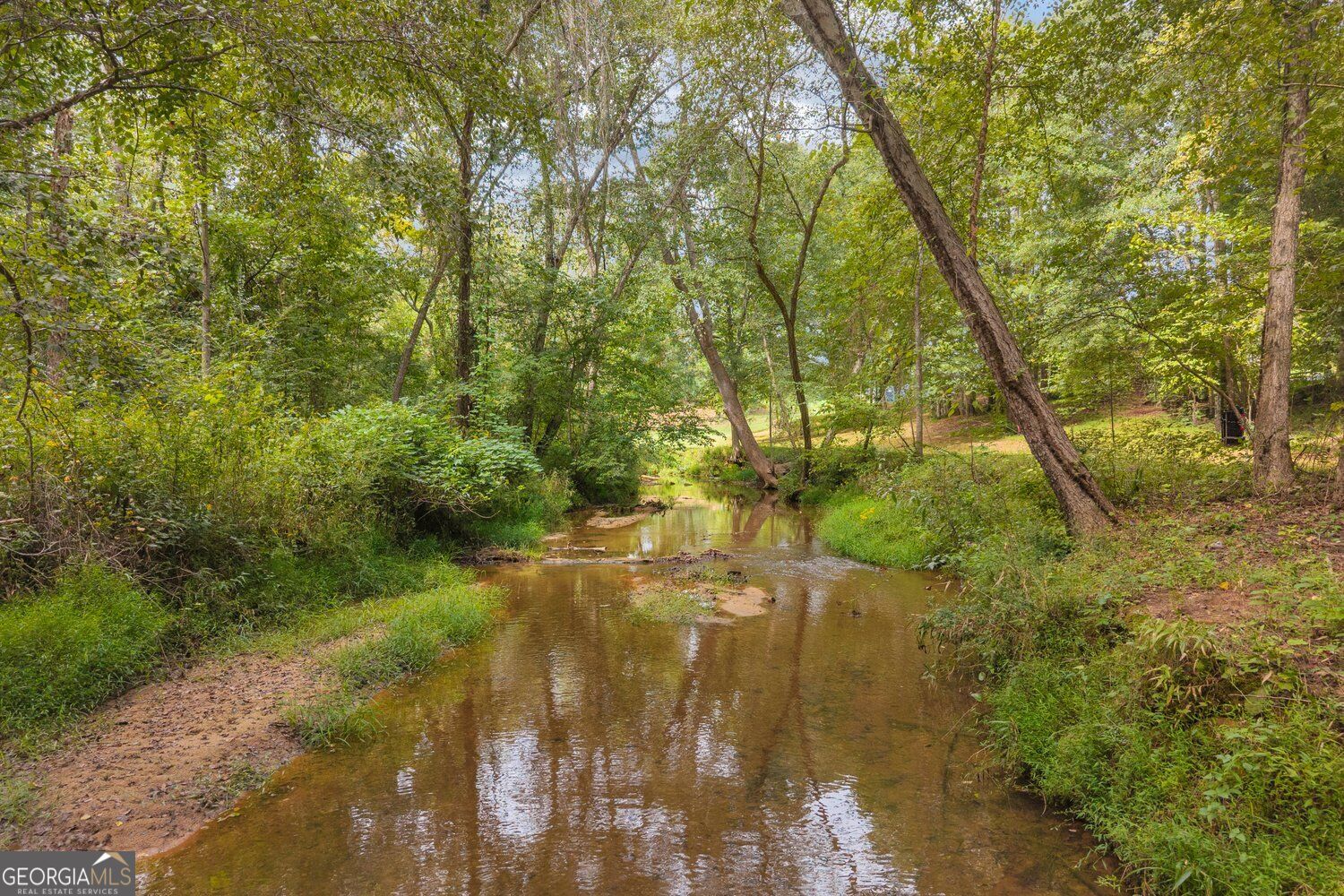 2104 Hwy 123 Property Photo 22