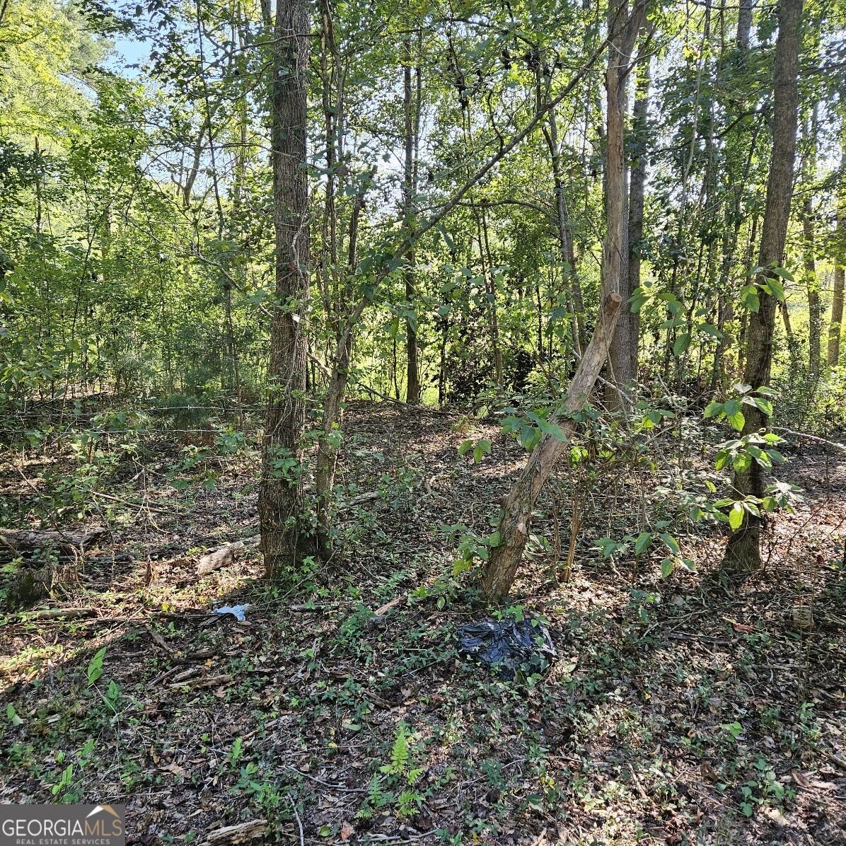 1196 Hendricks Road Property Photo 26