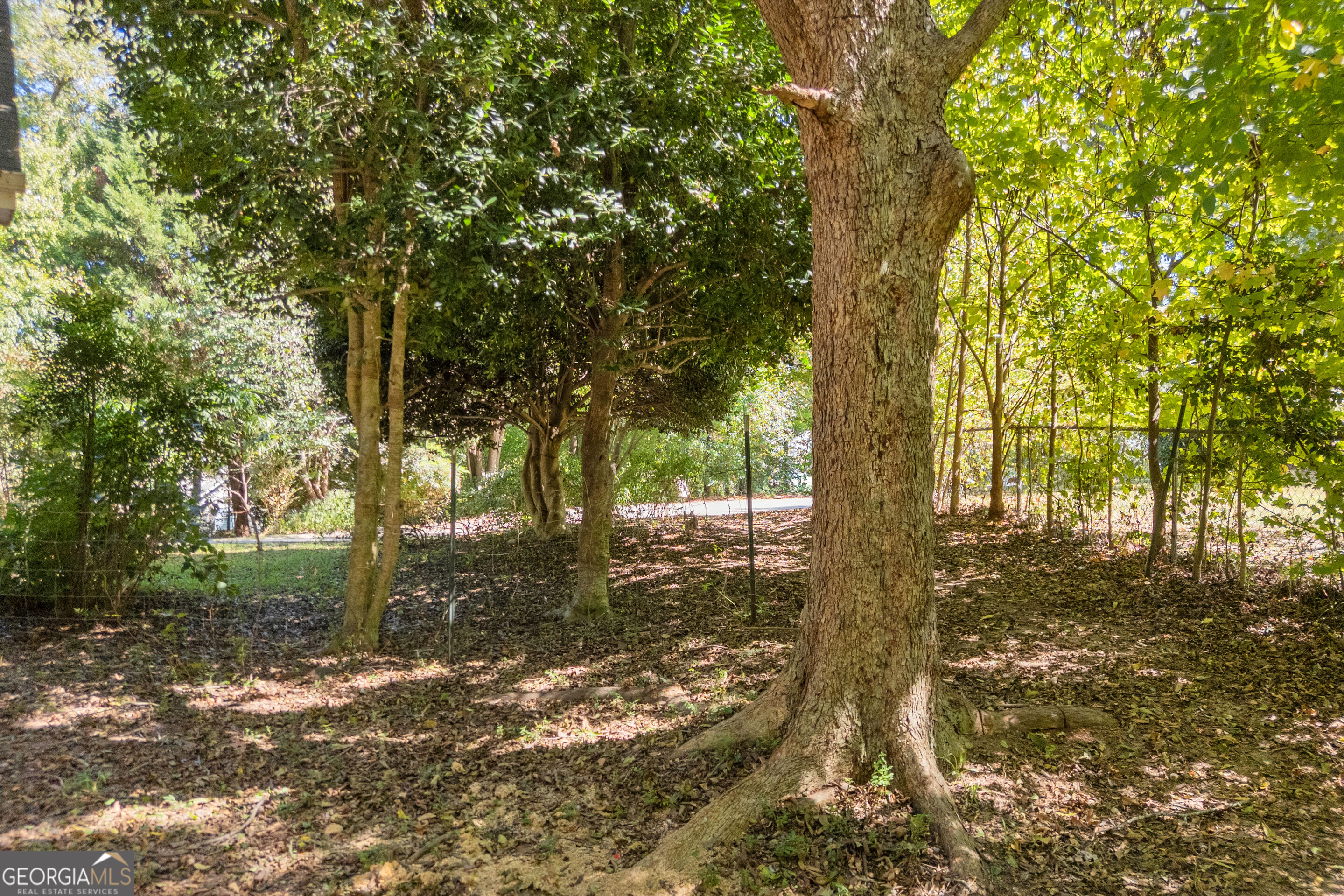 416 Tabby Lane Property Photo 17