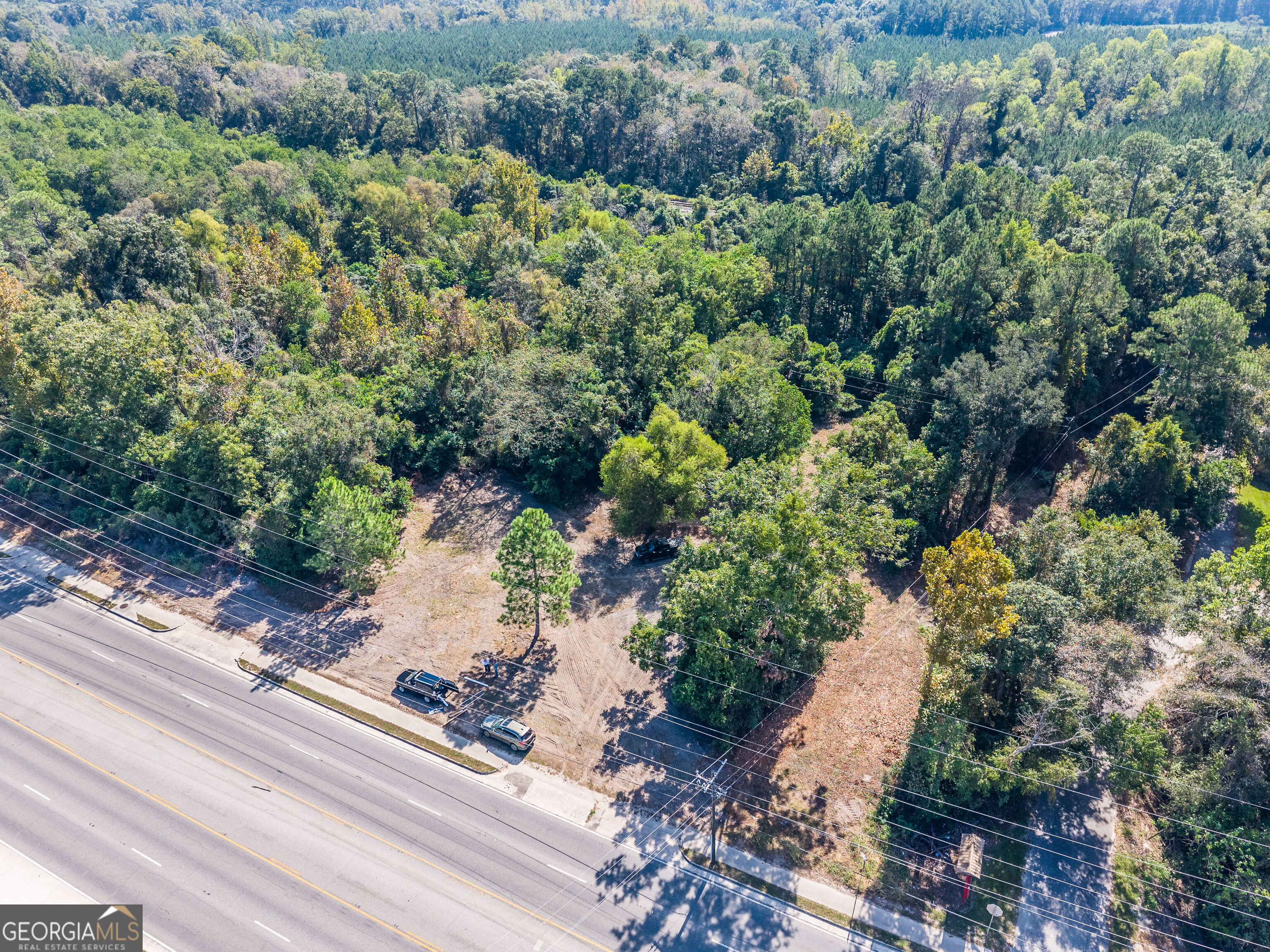 0 Highway 84 Property Photo 18