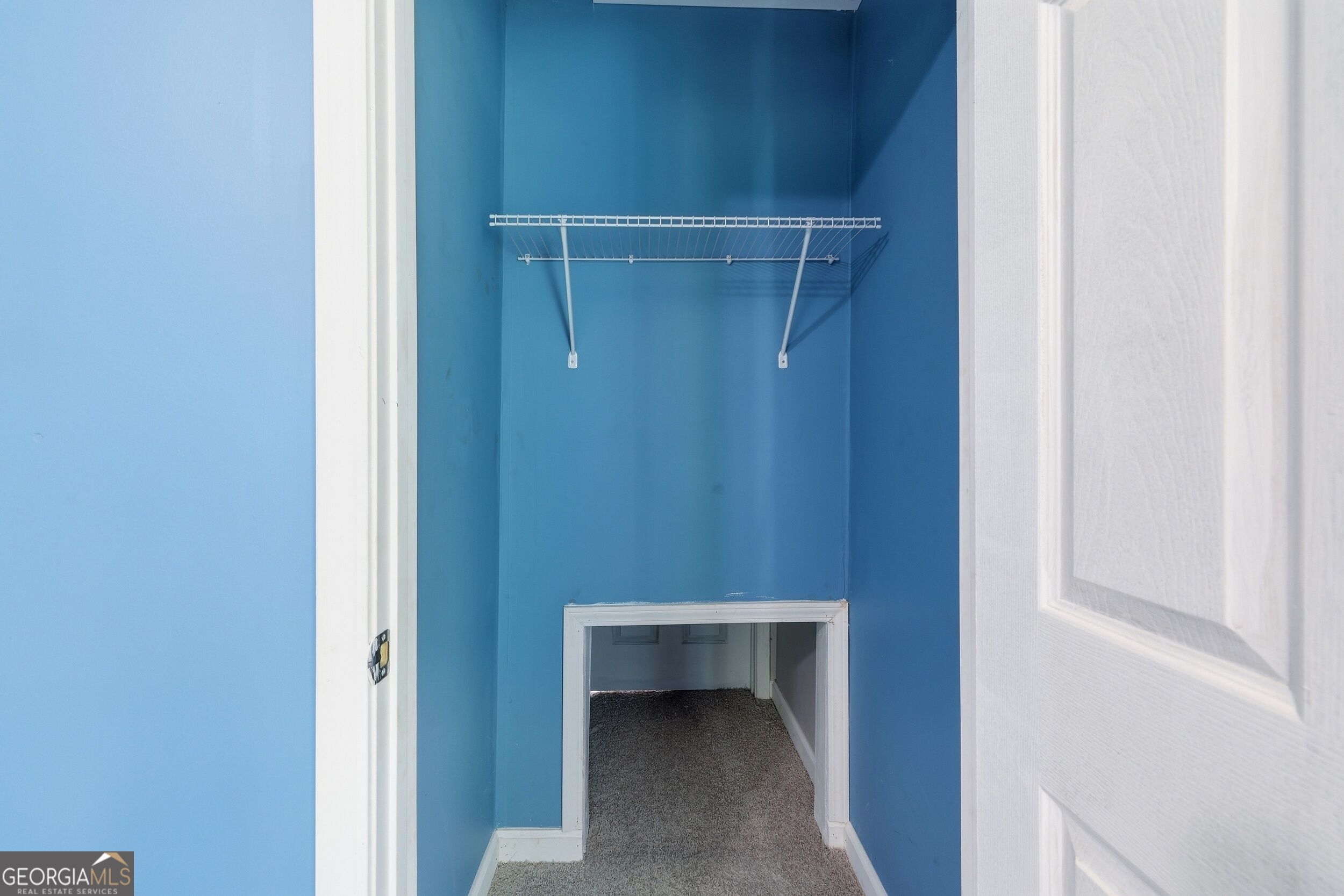 2421 E Silver Shoals Road Property Photo 34