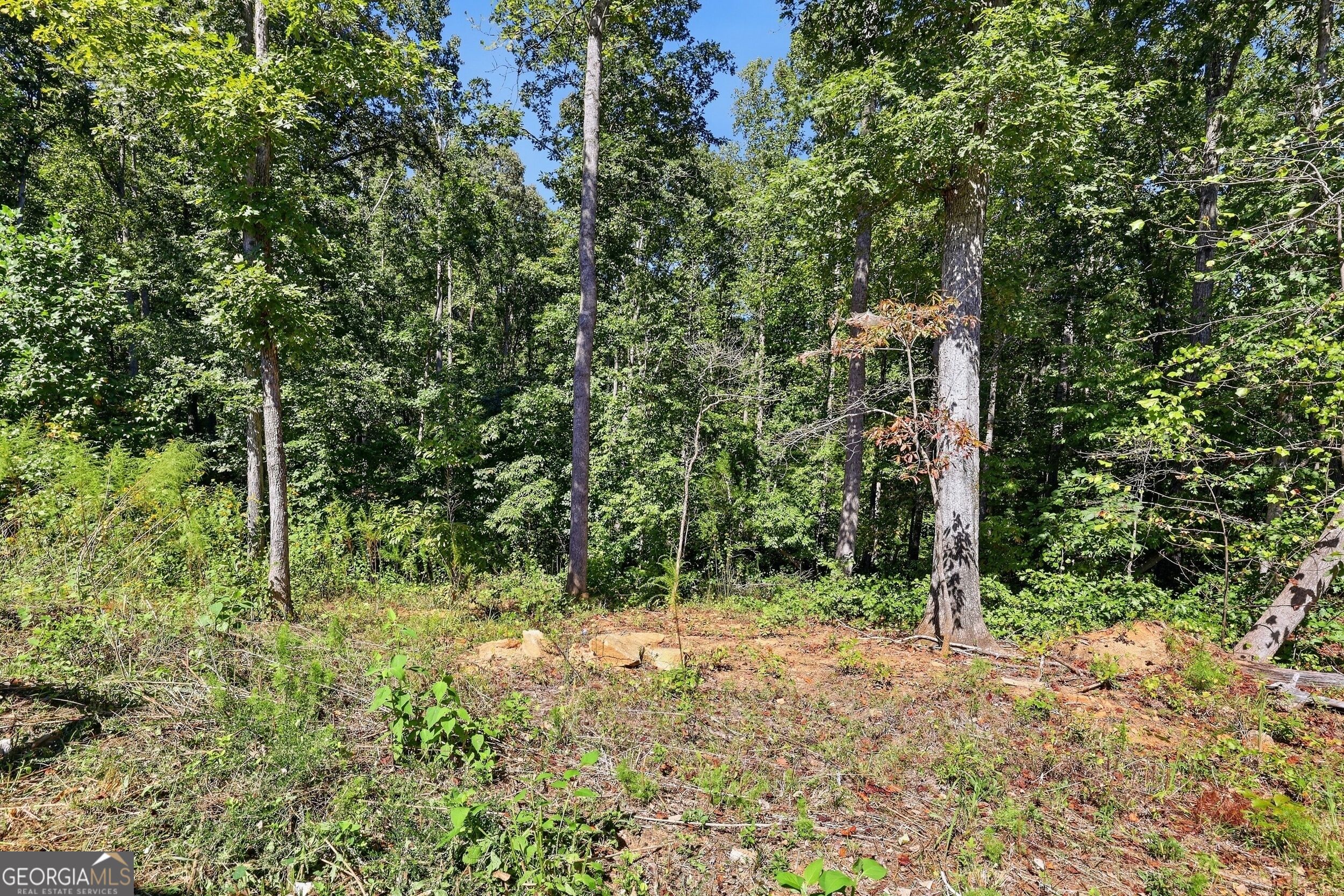 2421 E Silver Shoals Road Property Photo 35