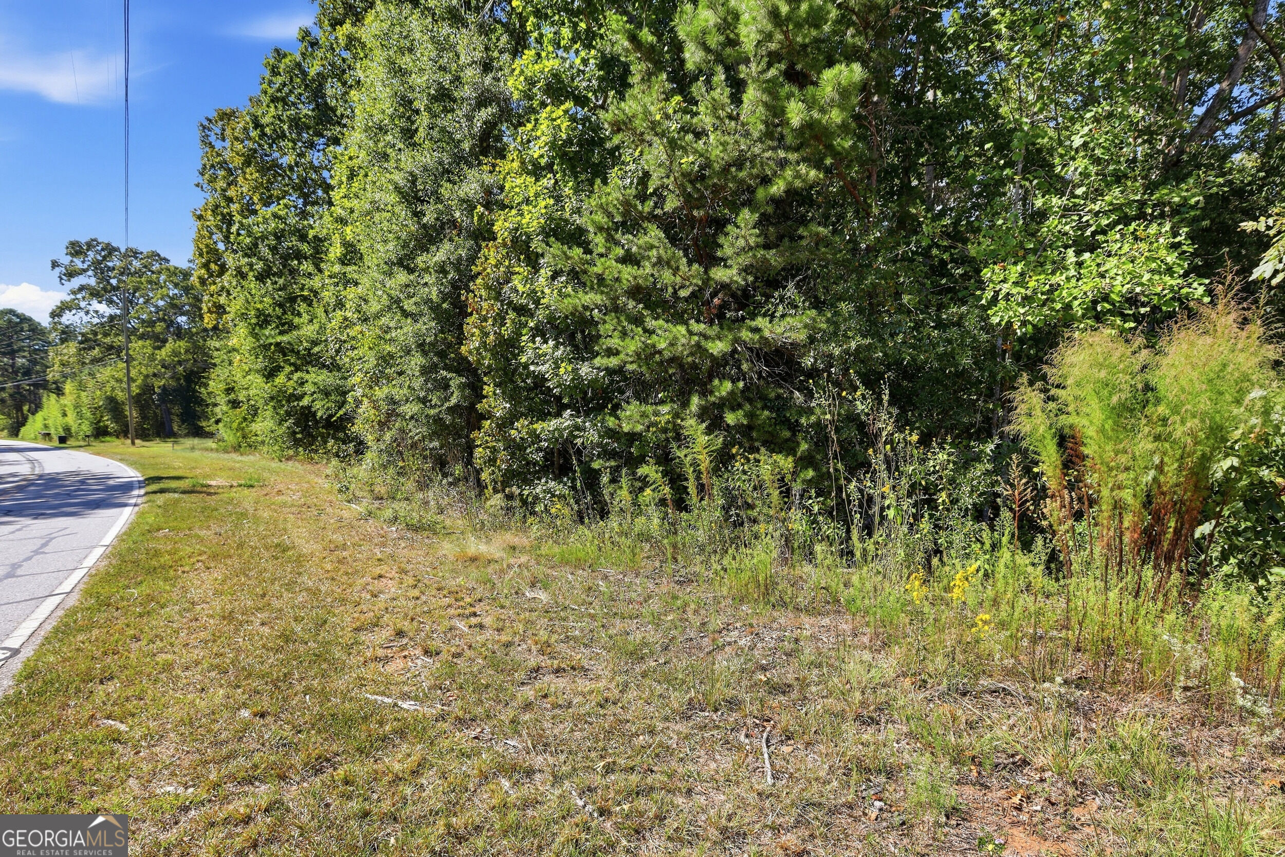 2375 E Silver Shoals Road # 2 Property Photo 4