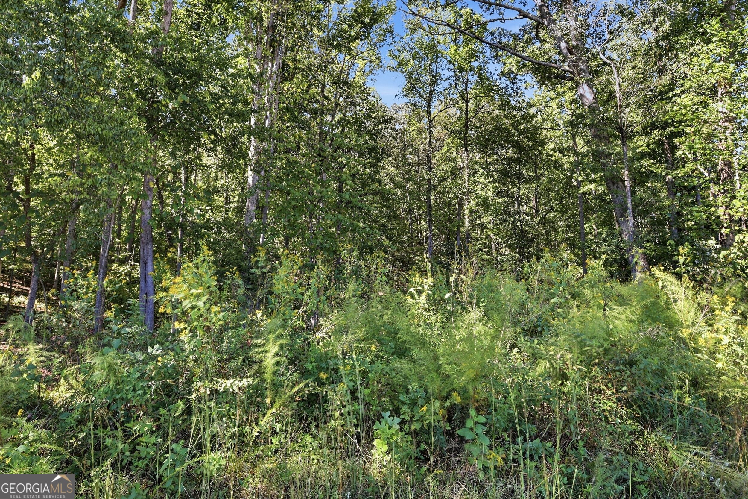 2375 E Silver Shoals Road # 2 Property Photo 5