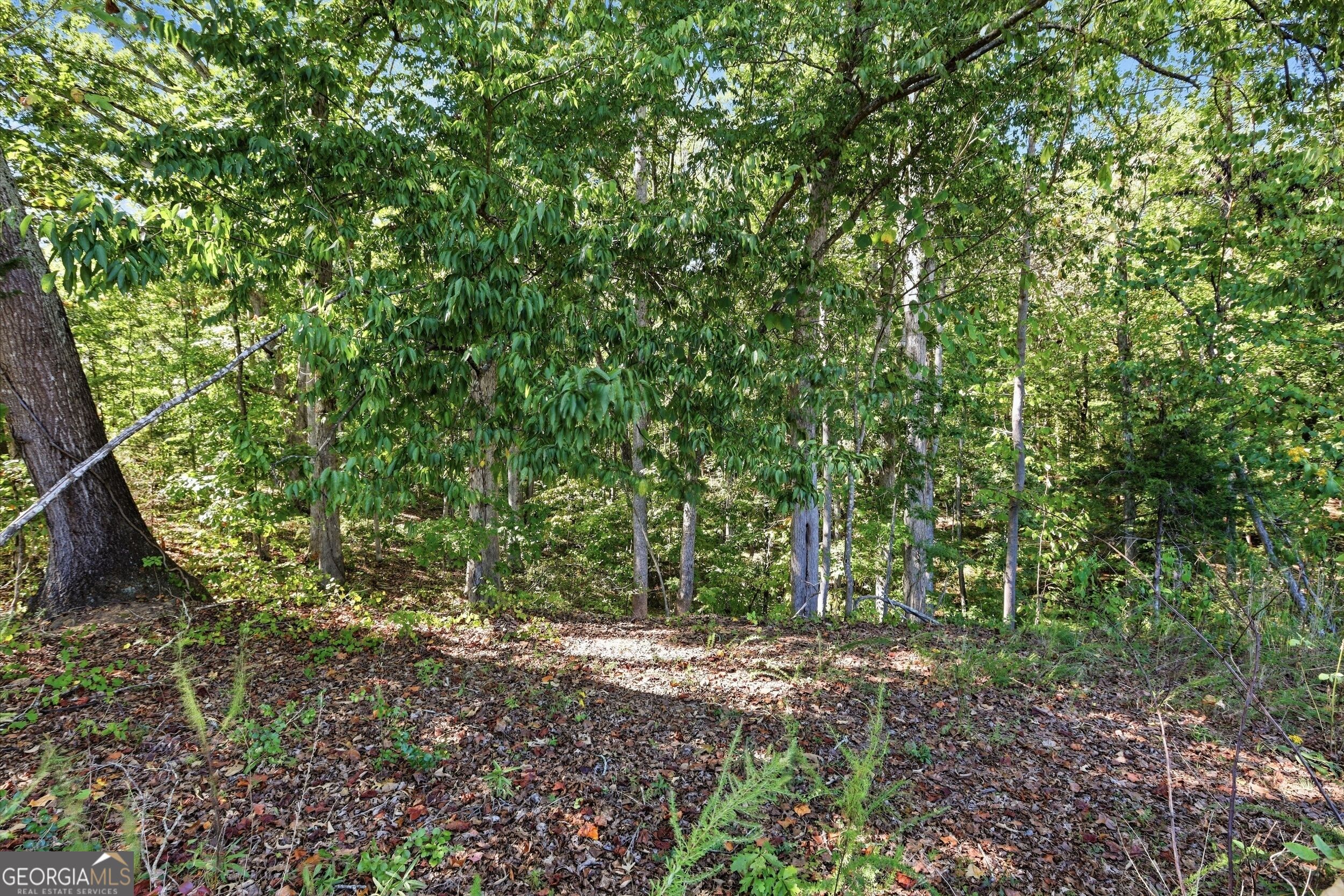 2375 E Silver Shoals Road # 2 Property Photo 6