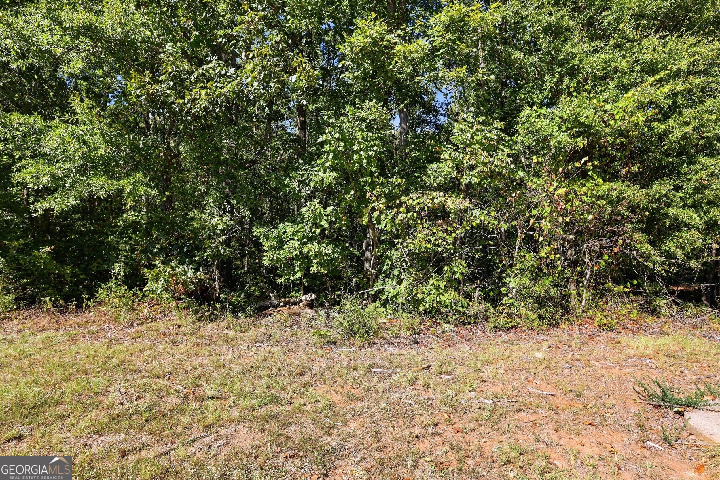 2375 E Silver Shoals Road # 2 Property Photo 7