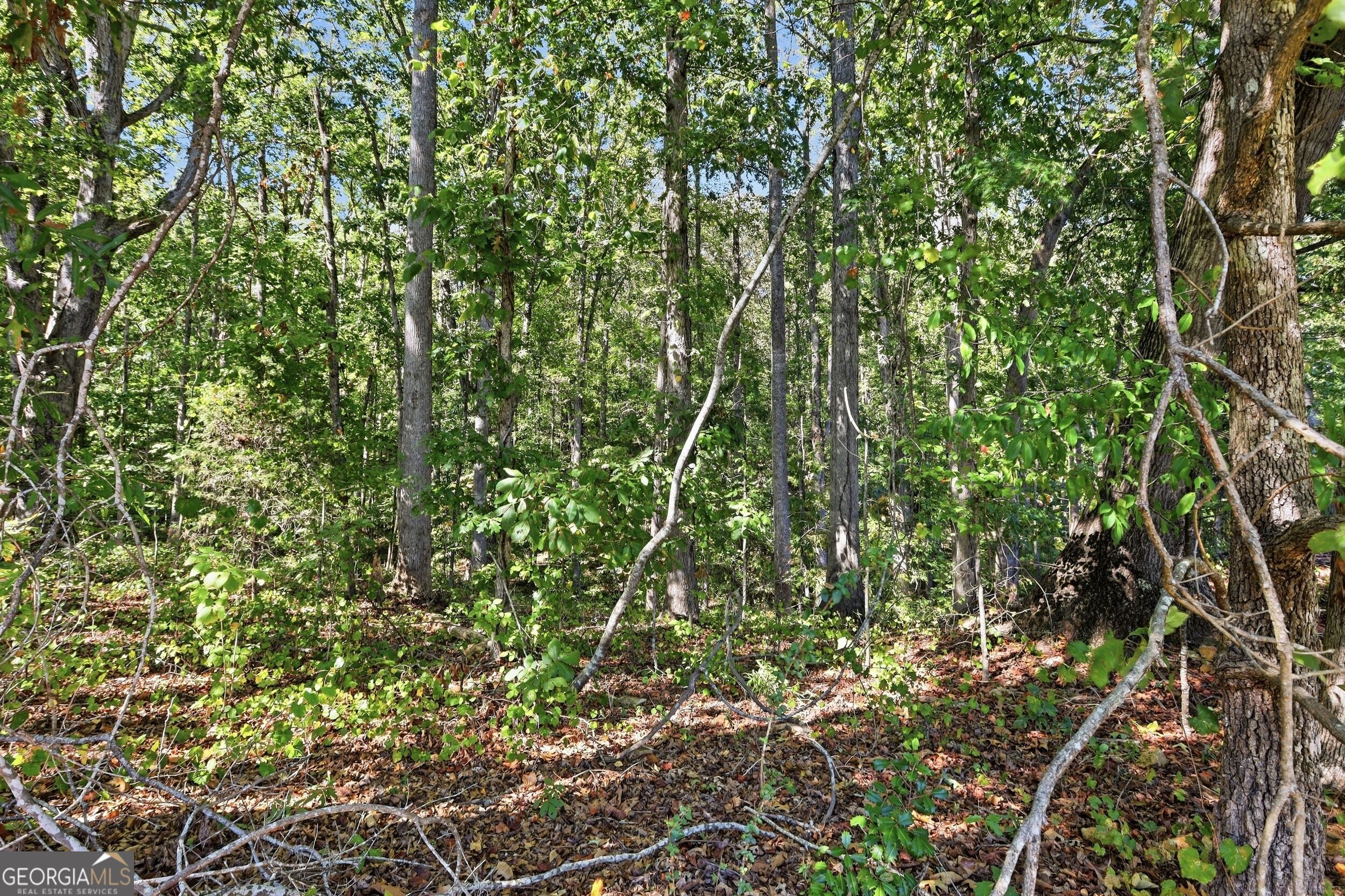 2375 E Silver Shoals Road # 2 Property Photo 8