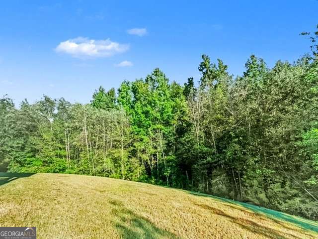 5760 Lula Bridge Court Property Photo 65