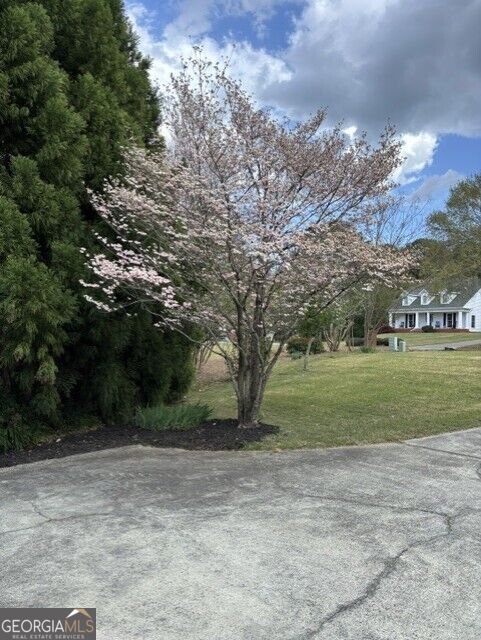 884 Fairway Drive Property Photo 106