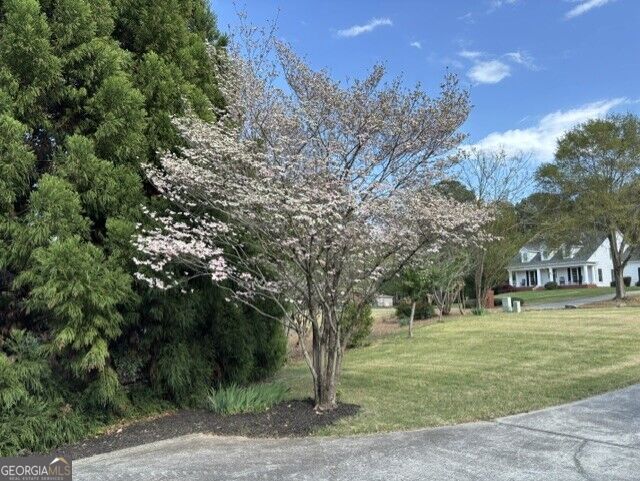 884 Fairway Drive Property Photo 107