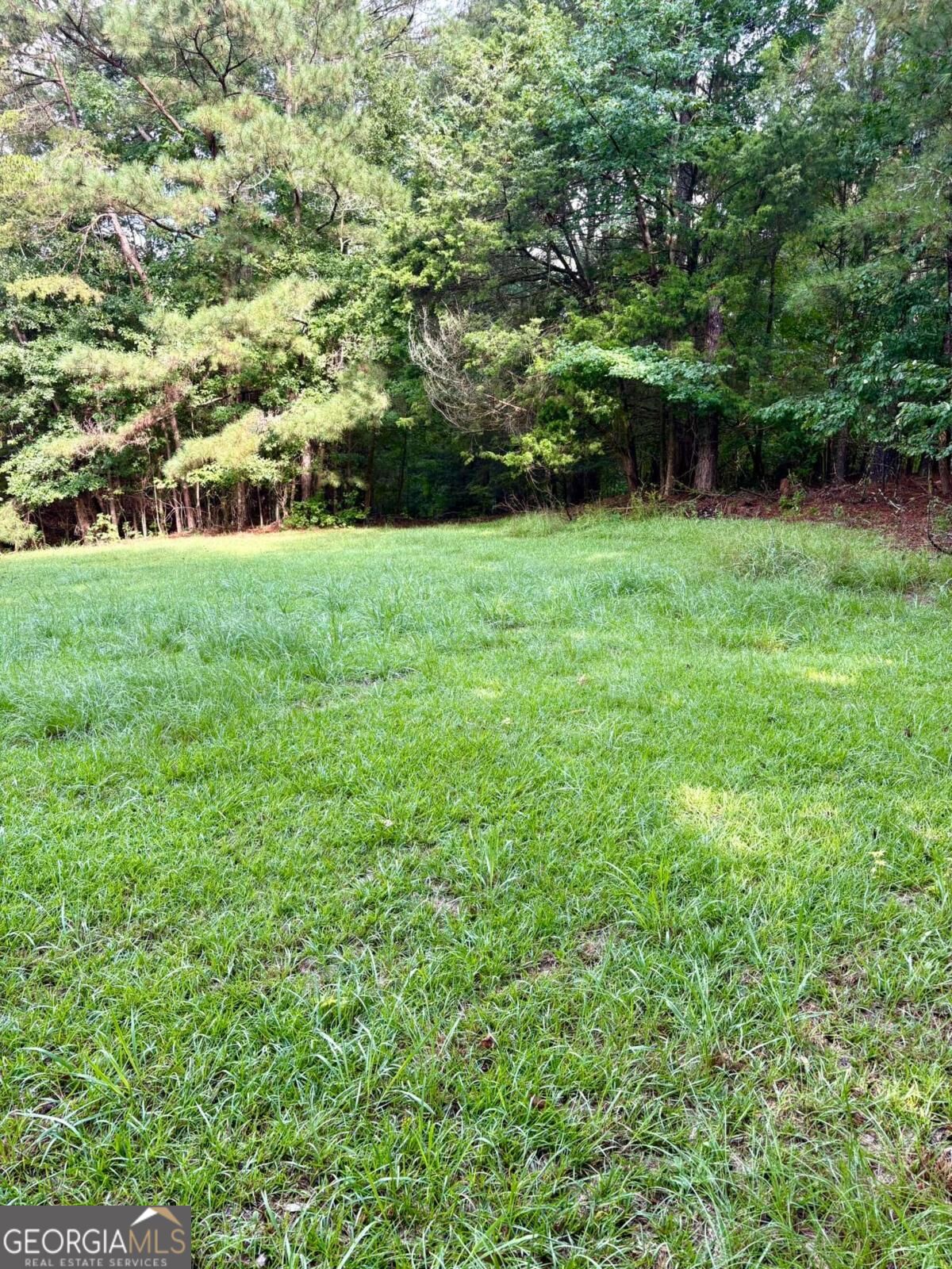 0 Macon Highway Property Photo 1