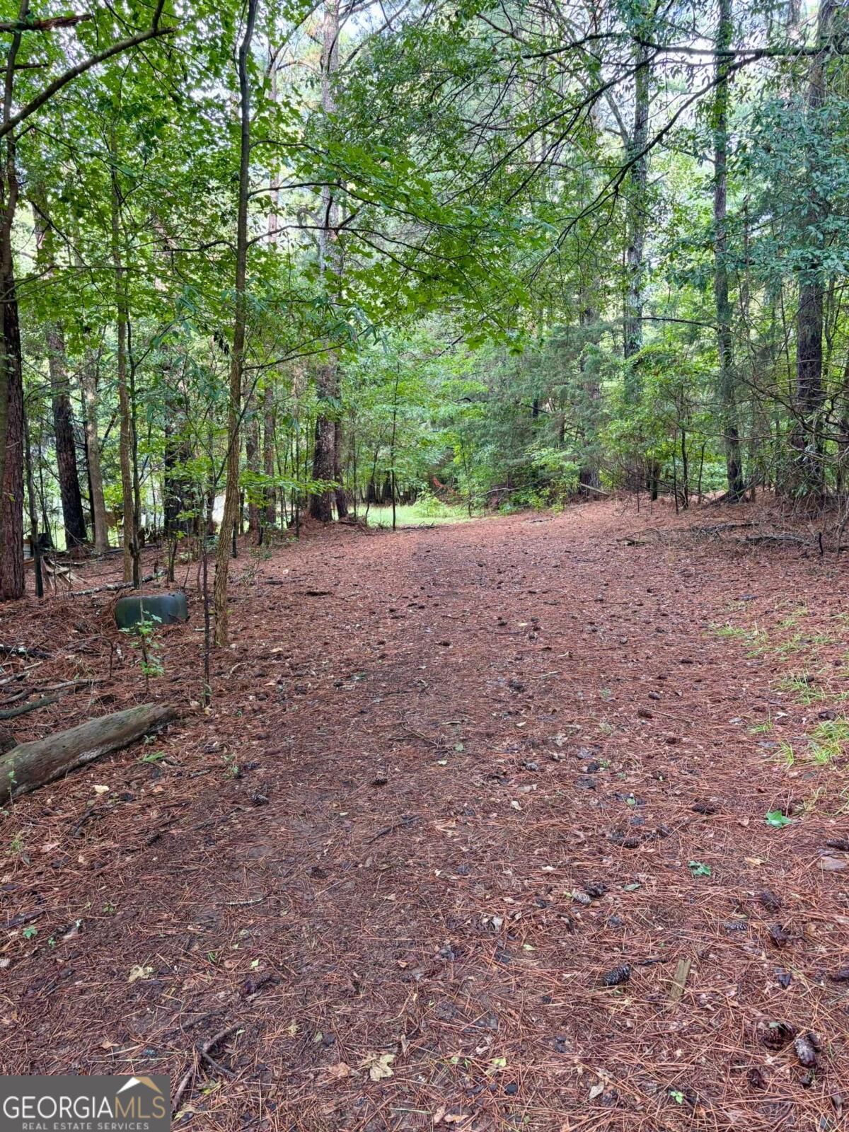 0 Macon Highway Property Photo 2