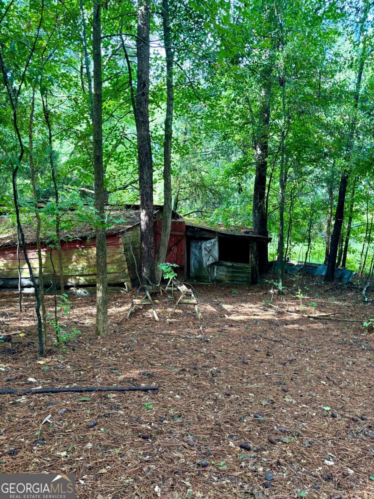 0 Macon Highway Property Photo 3