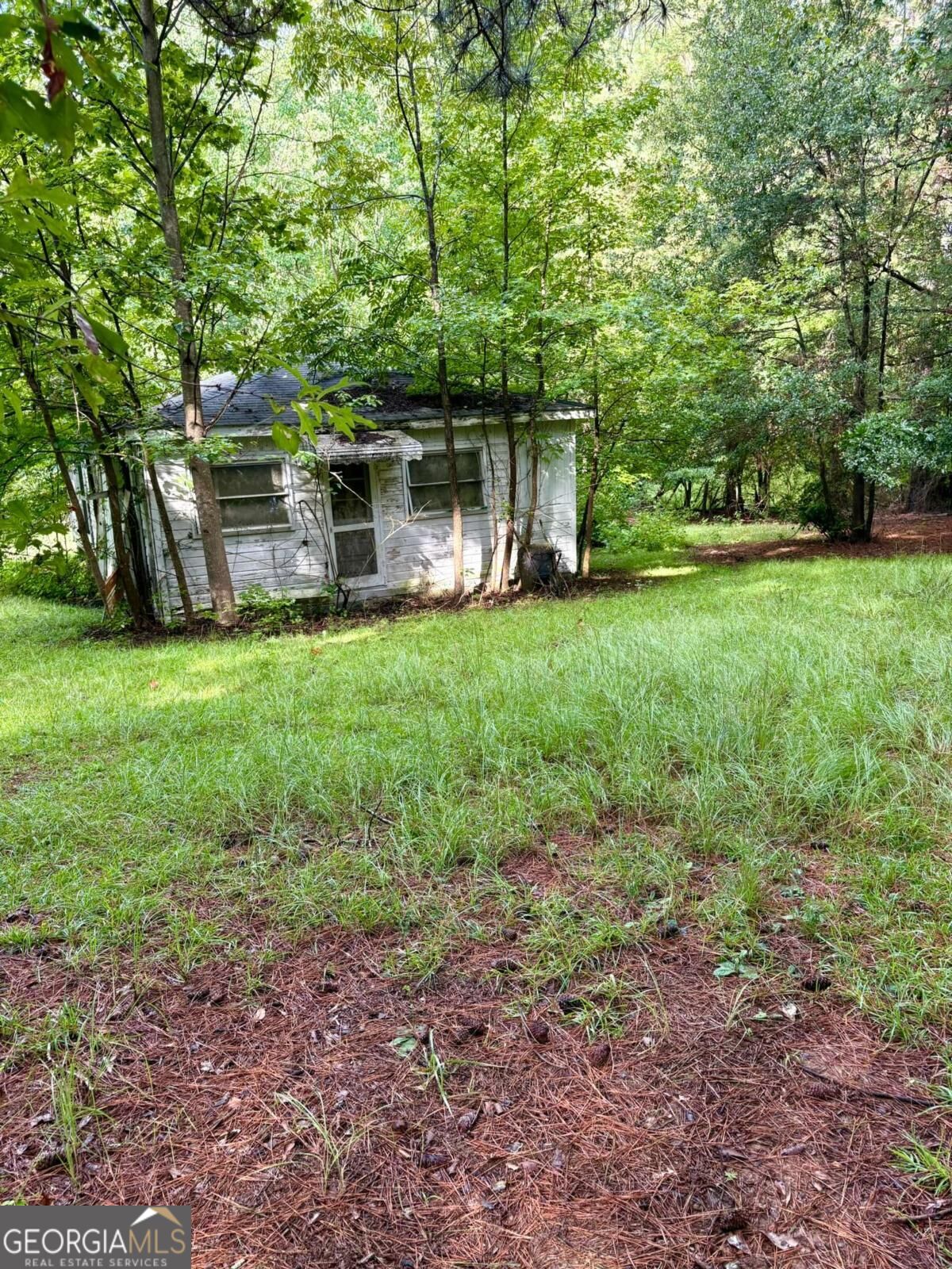 0 Macon Highway Property Photo 4