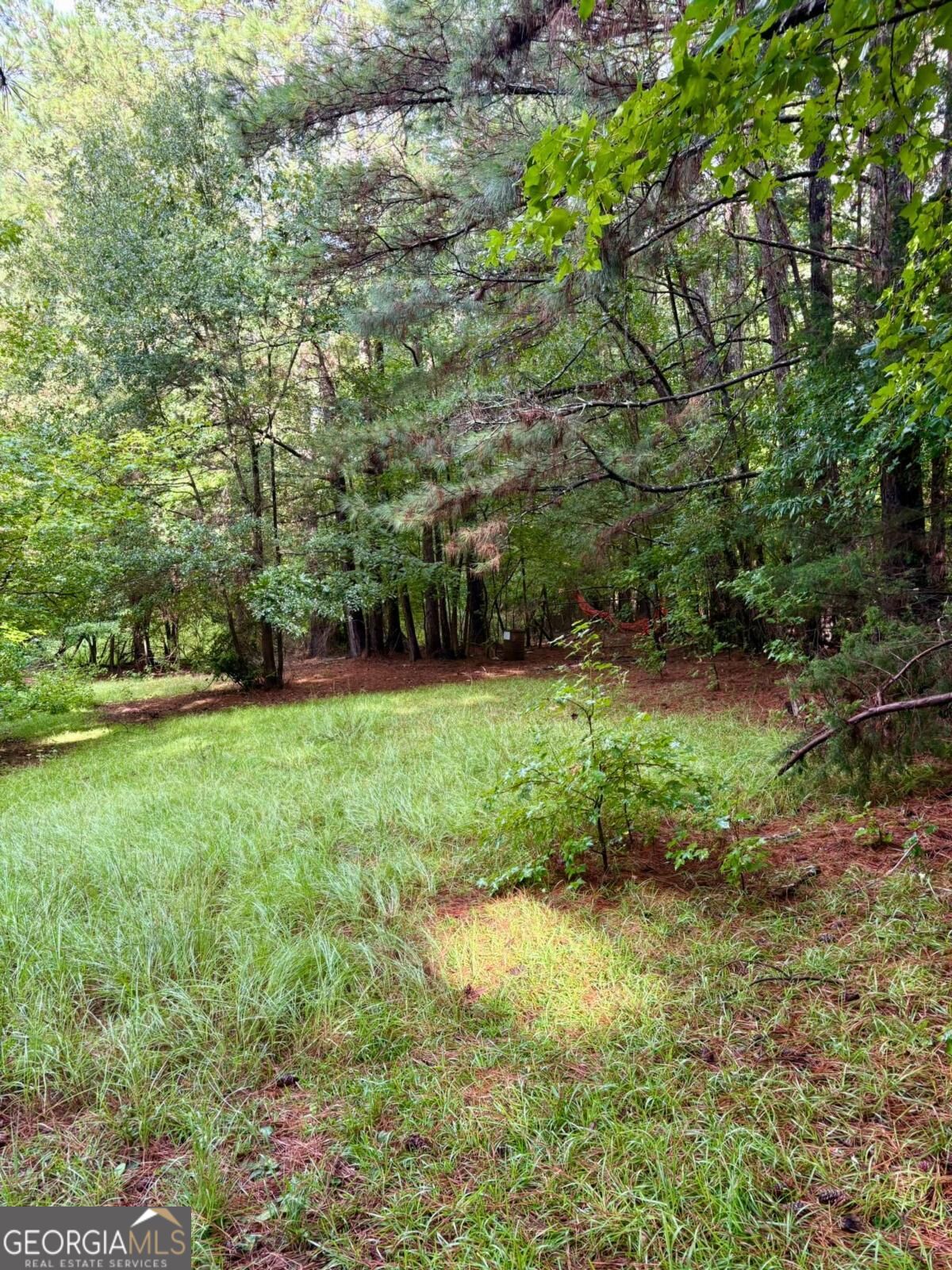 0 Macon Highway Property Photo 5