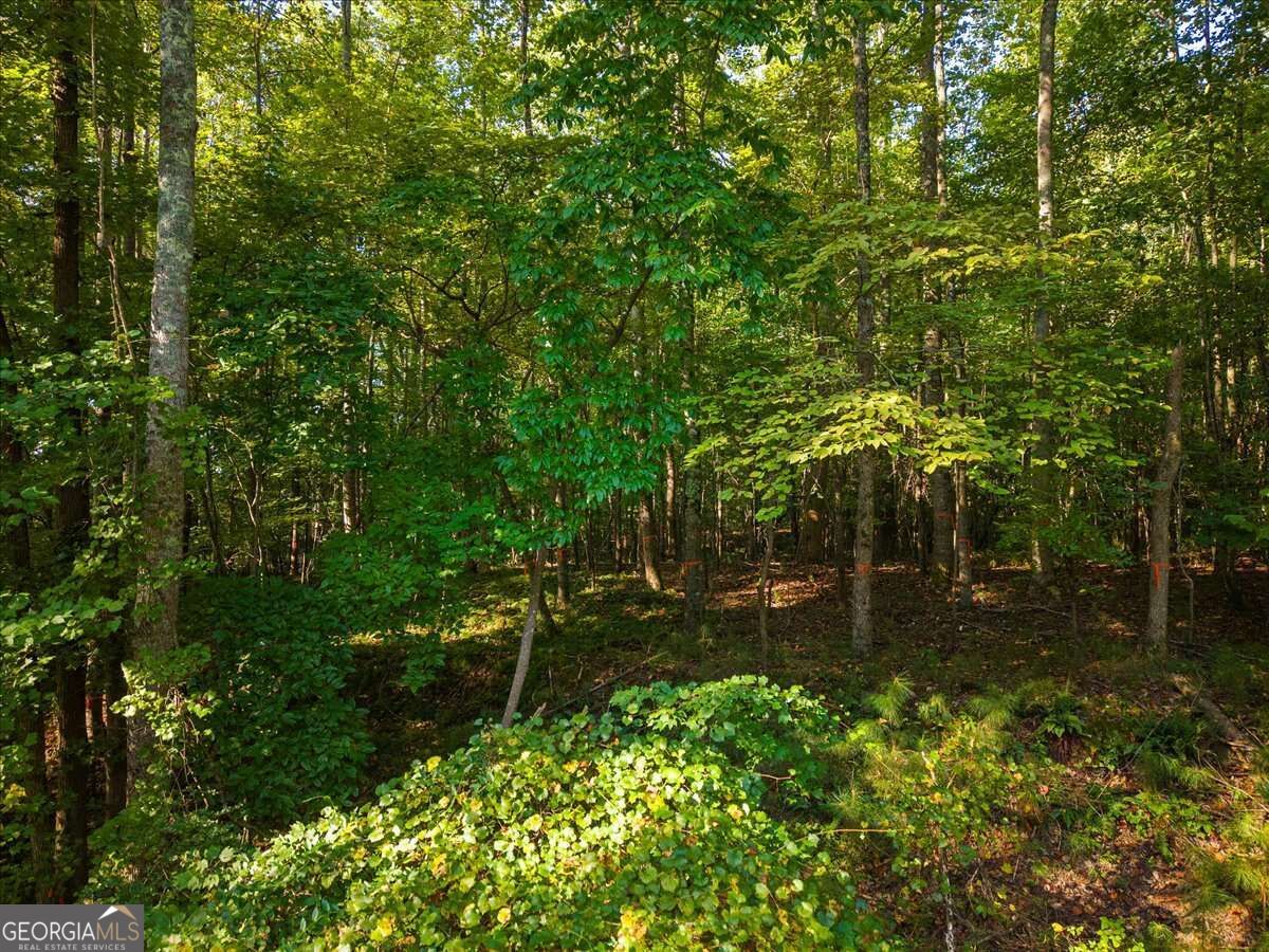 0 Cox Road Property Photo 3