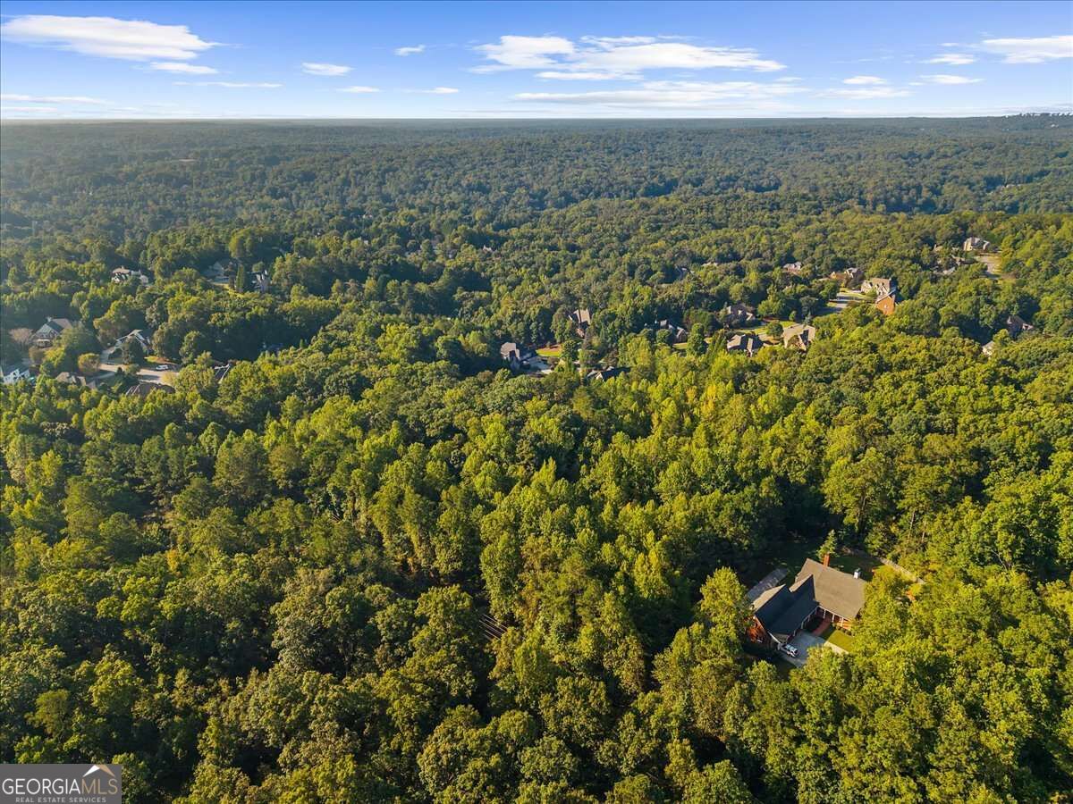 0 Cox Road Property Photo 6