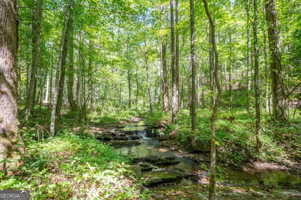 857 Talking Rock Falls Ne Property Photo 10